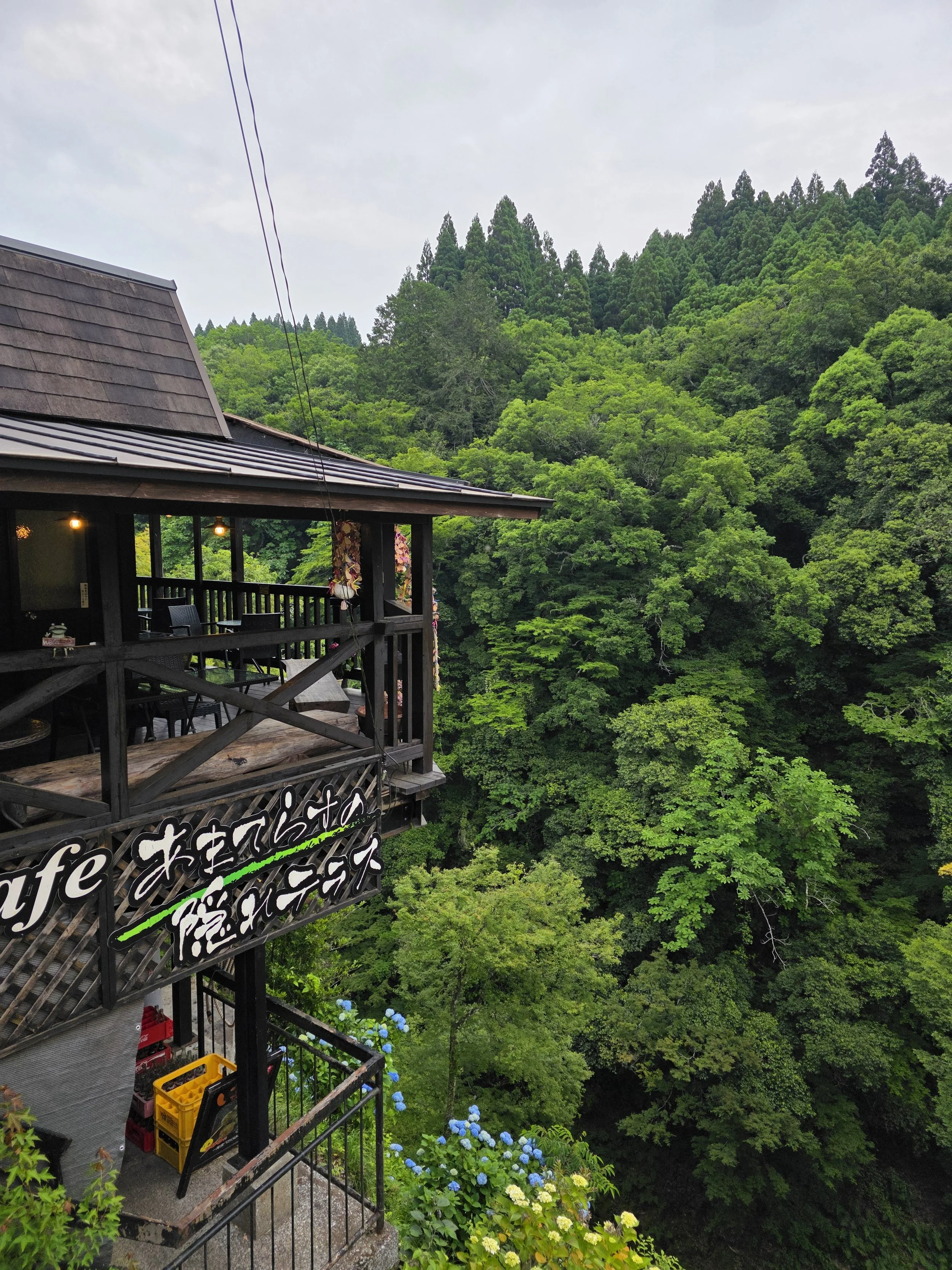 a wooden restaurant over the top of a gorge filled with green trees