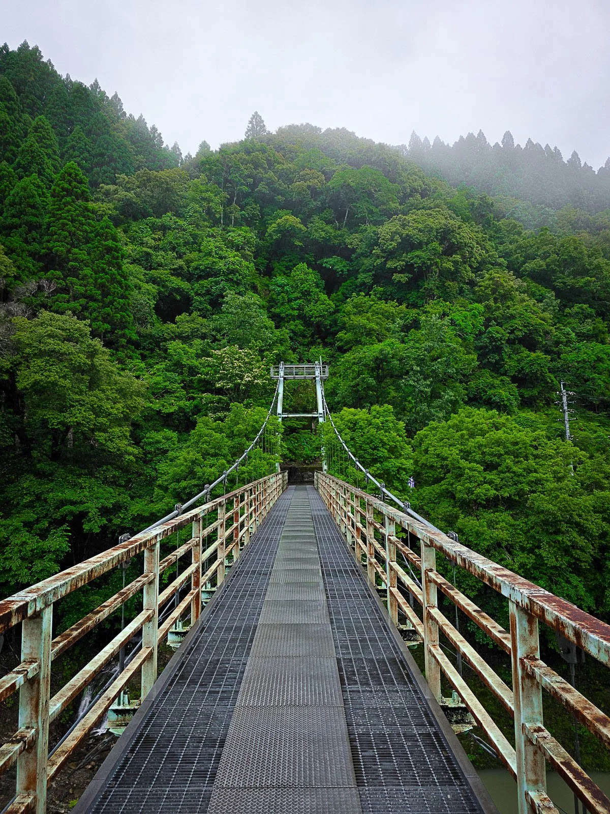 Standing and looking across a metal suspension bridge to a misty forest on the other side. Railings on the bridge are rusty and the clouds are low