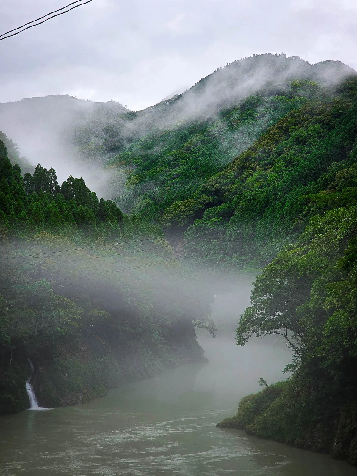 A large green river surrounded by lush green tress all covered in a white mist