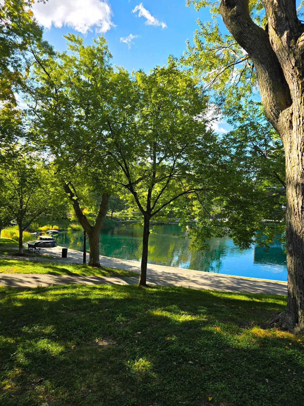 A park with green grass and trees along a large path which is surrounding a large blue pond