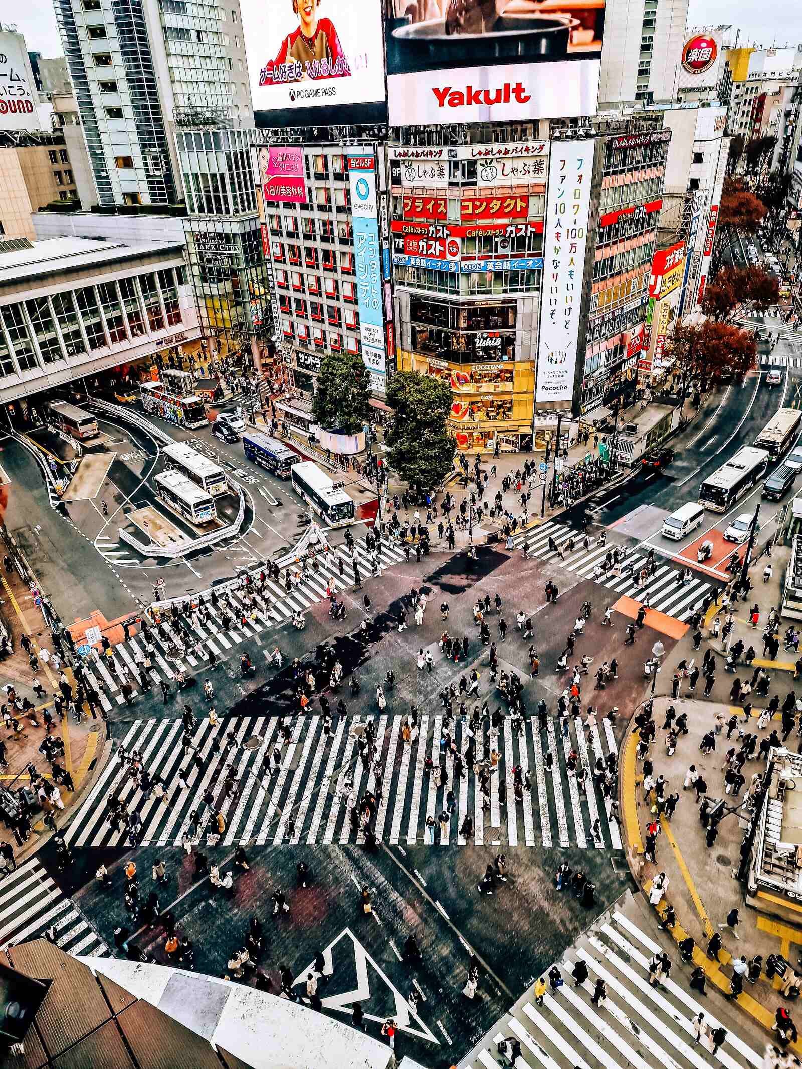 looking down from a rooftop at a busy street crossing with colourful billboards all around. In Tokyo on a 3 day Tokyo itinerary