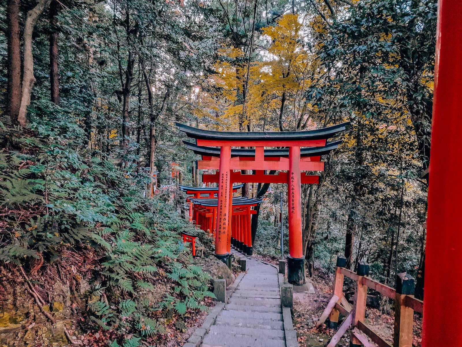 steps on a nature trail with several orange torii gates over the path