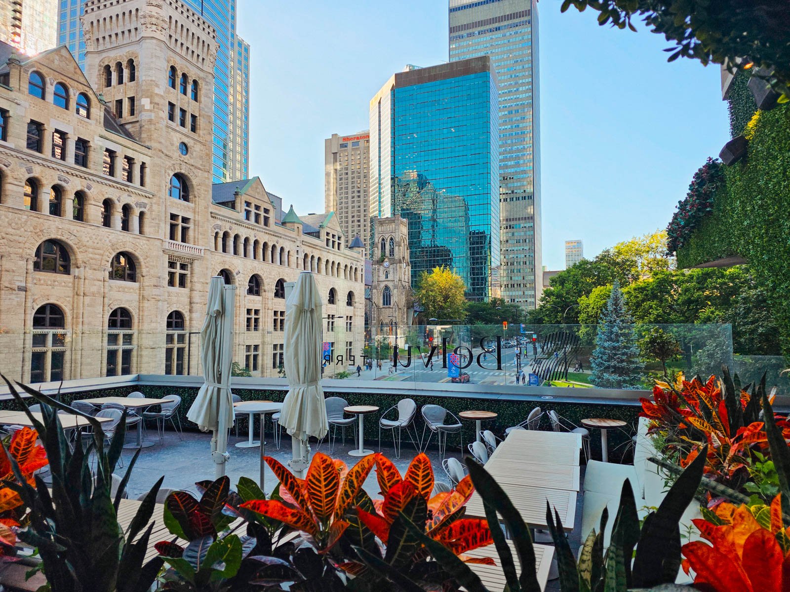 An outdoor roof terrace of a bar with seating and parasols, glass skyscrapers are in the background and orange flowers and plants are in the foreground
