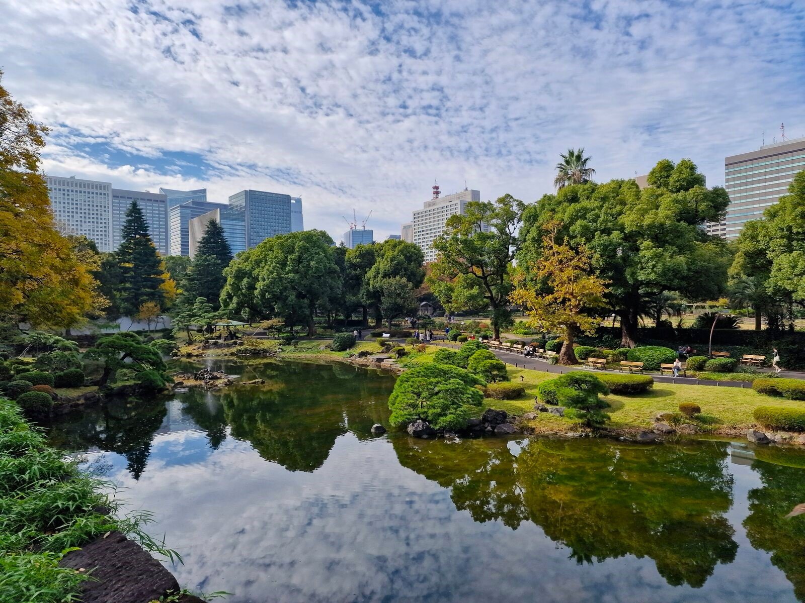 a park with a large pond surrounded by trees and city buildings in the distance