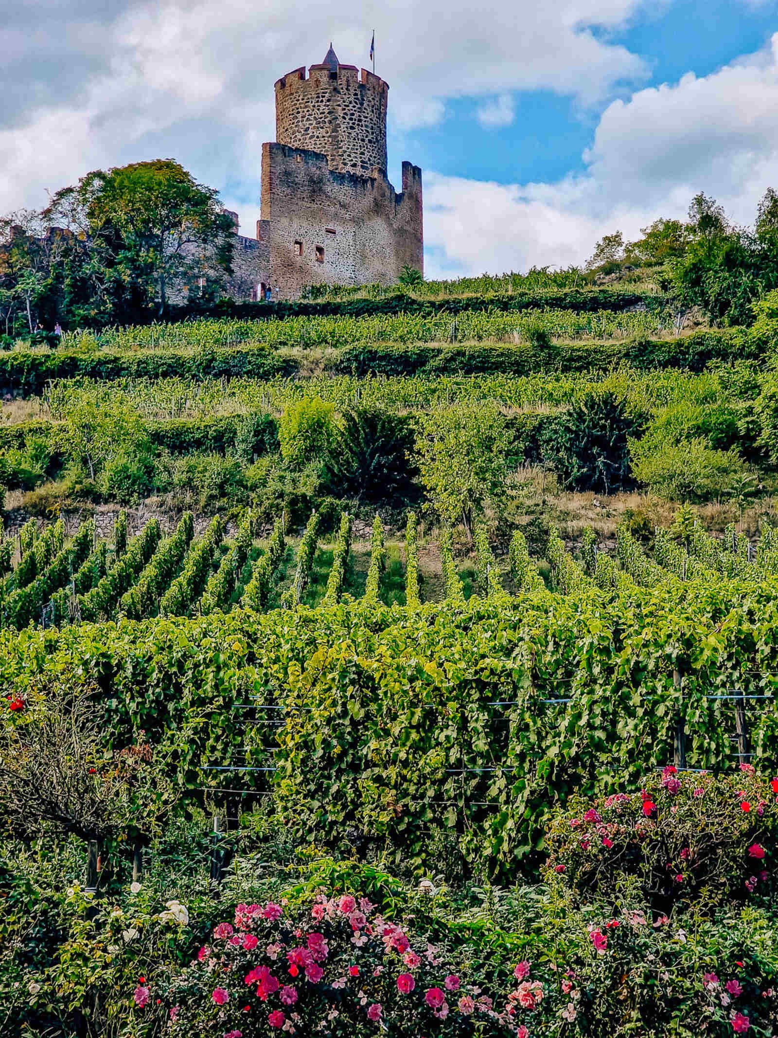 A  green hill with an old stone tower at the top of the hill