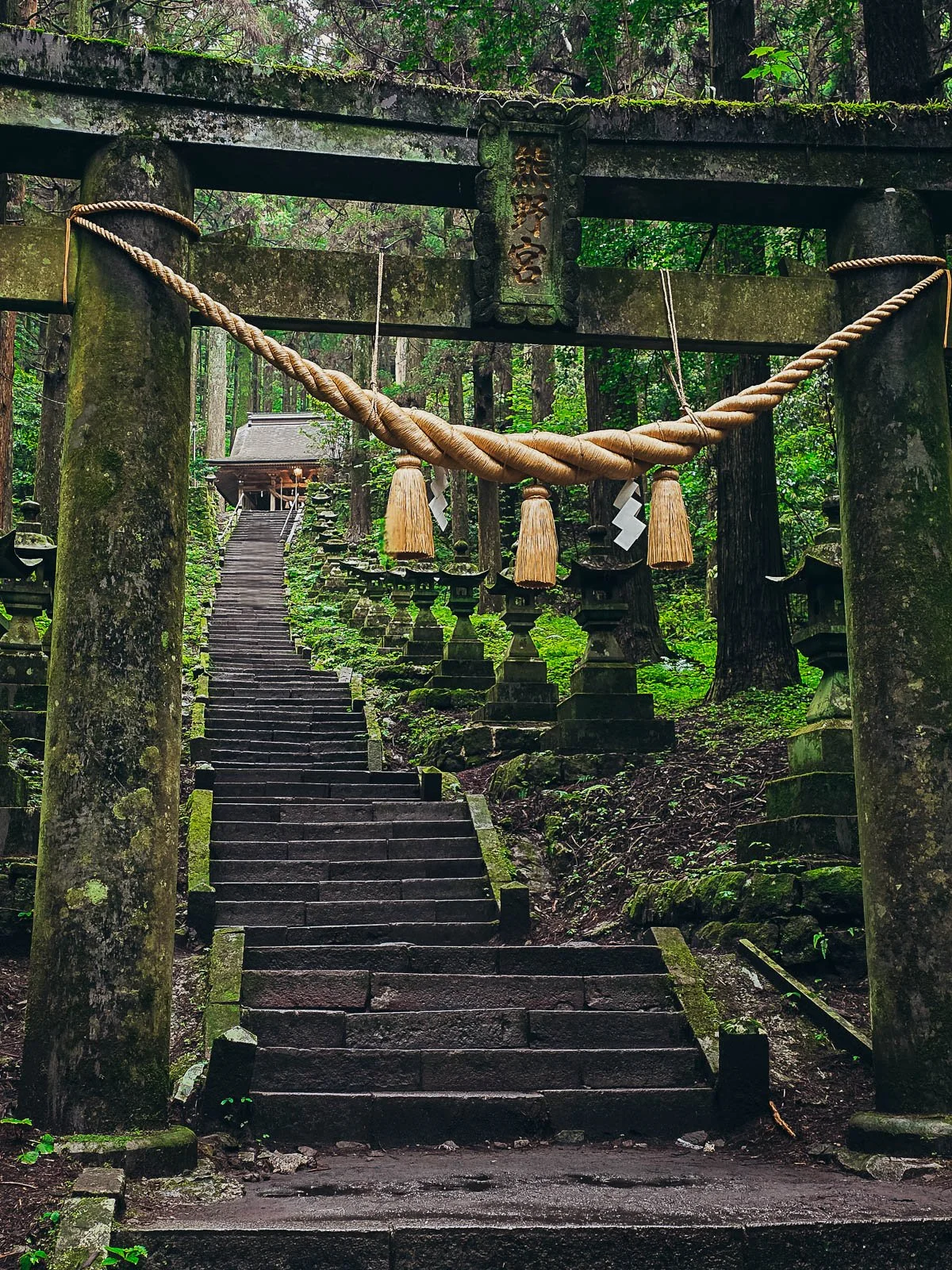 Looking up a long stone set of steps in a feep forest with stone lanterns lining the steps, at the bottom of the steps in the foreground is a stone torii gate with a large rope strung across it, a shrine is at the top of the steps in the dsitance