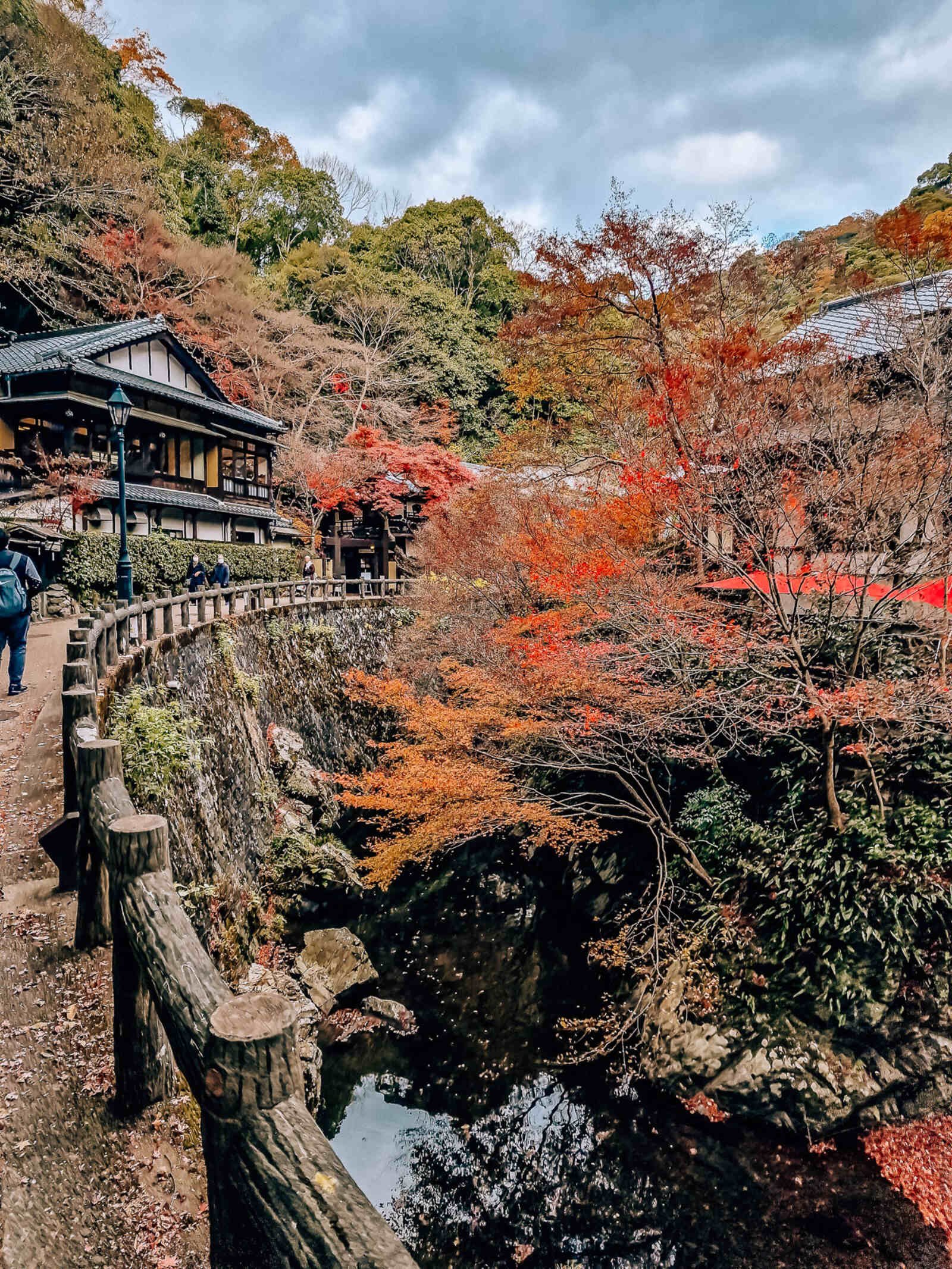 a curving pathway along a river with a canopy of autumn trees  and a traditional Japanse building on the leftside of the path