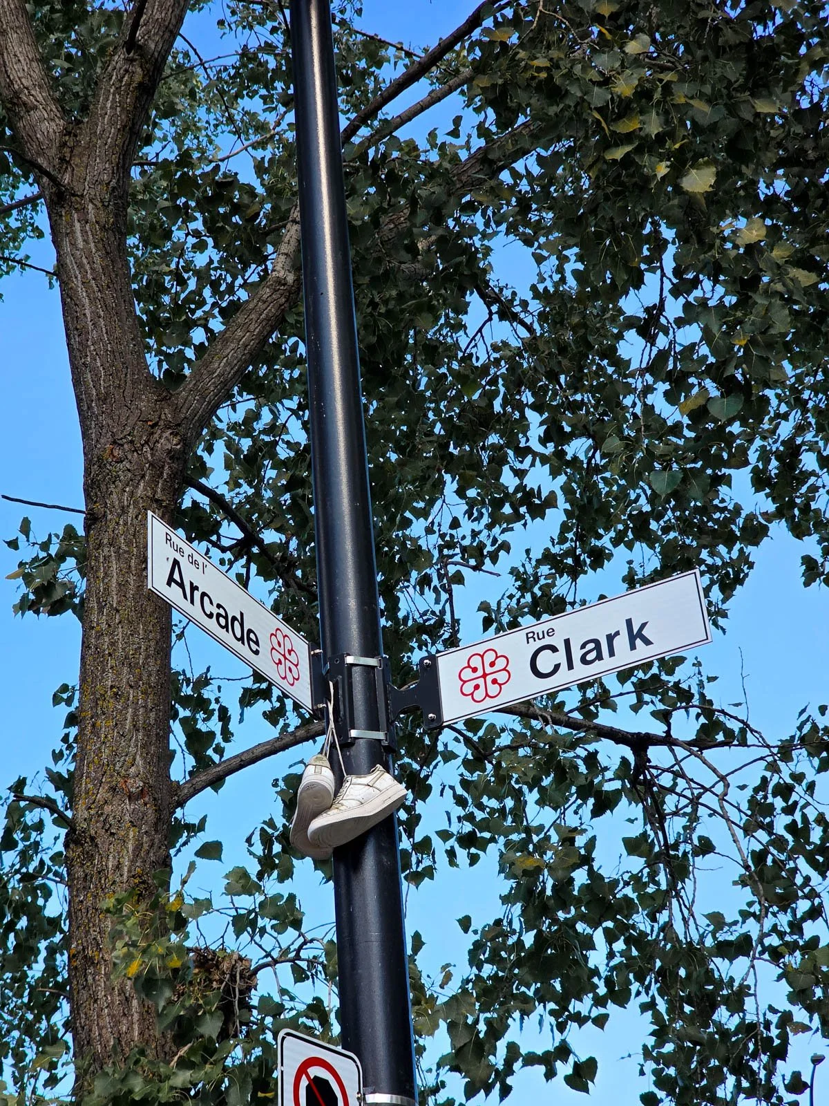 Two white street signs attached to a black pole which also has a pair of white shoes hanging from it. The pole is next to a tree. The street signs read "Rue de l'Arcade" and "Clark"
