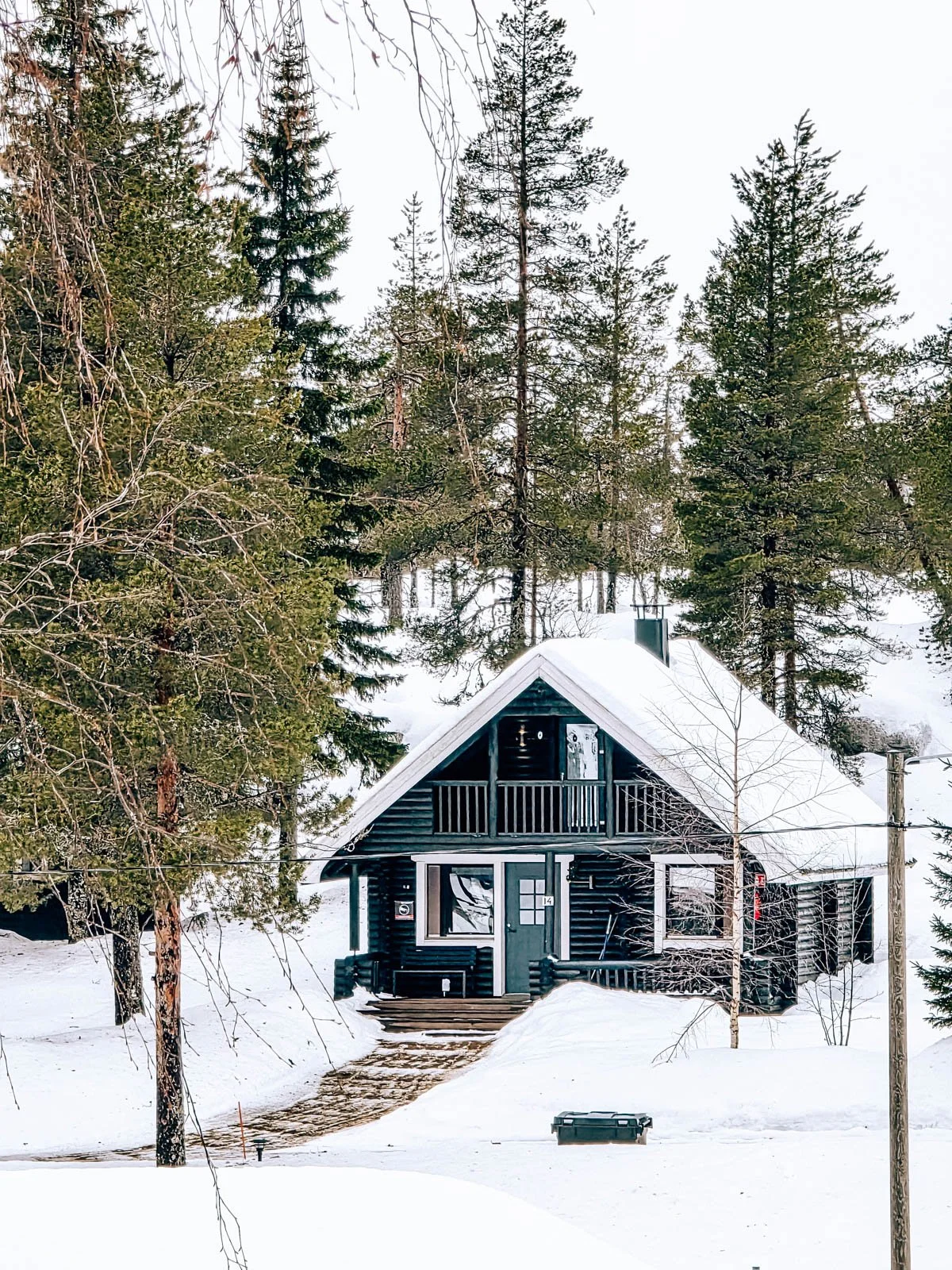 A dark coloured log cabin surrounded by snow and pine trees