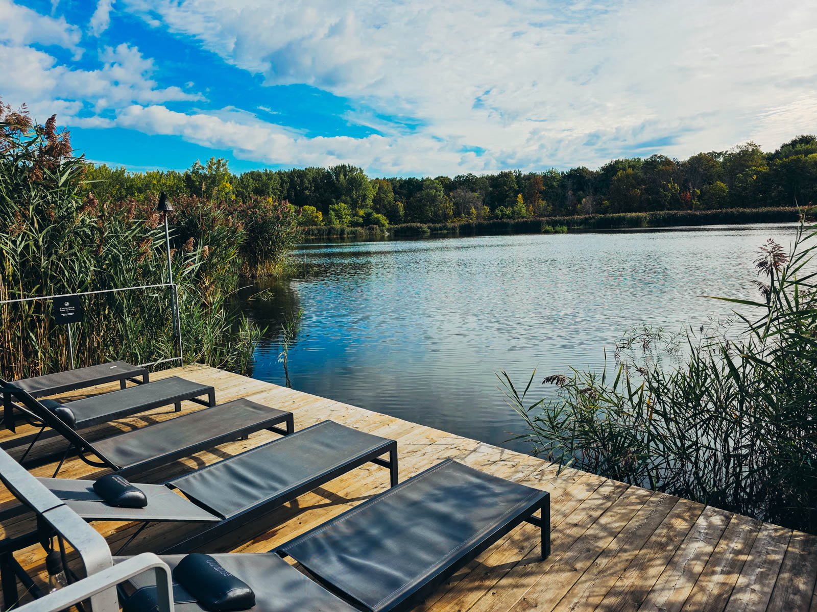 Four sunloungers on a wooden deck overlooking a lake surrounded by trees
