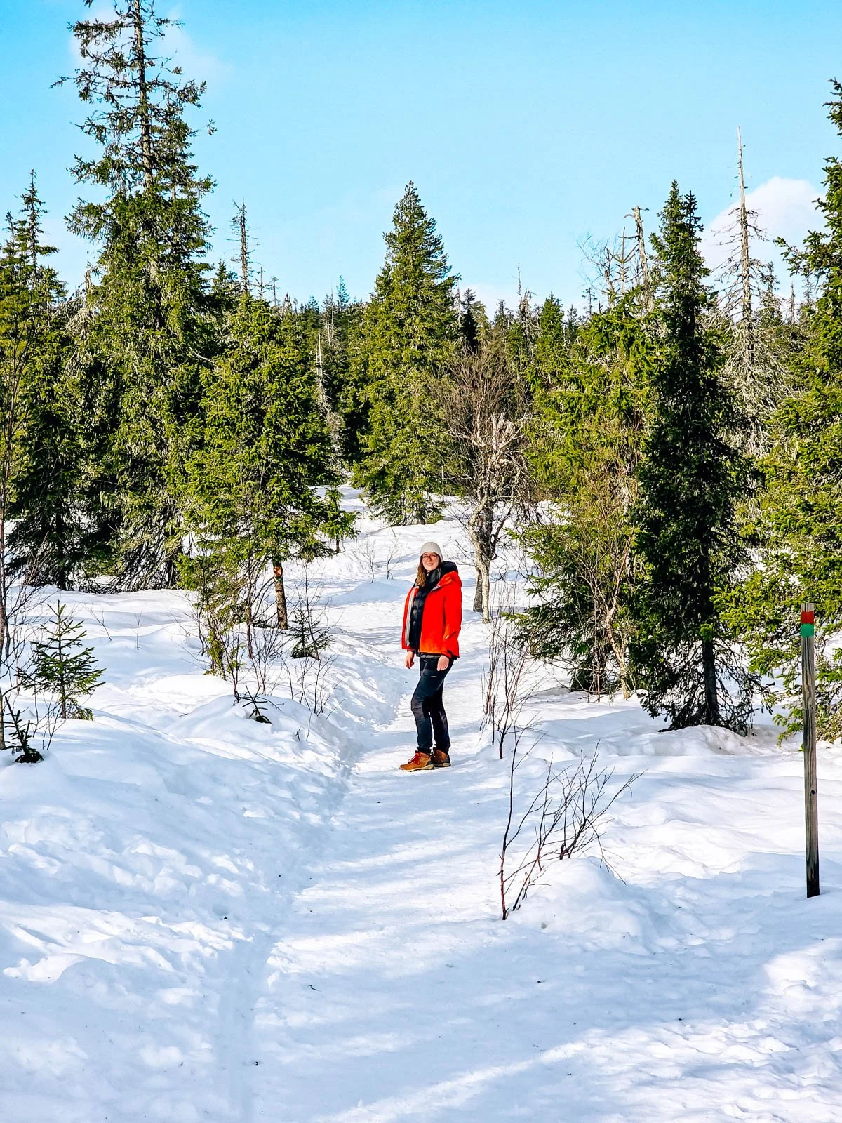 Helena in red standing in snow as she is hiking up a trail which is surrounded by green trees and deep snow