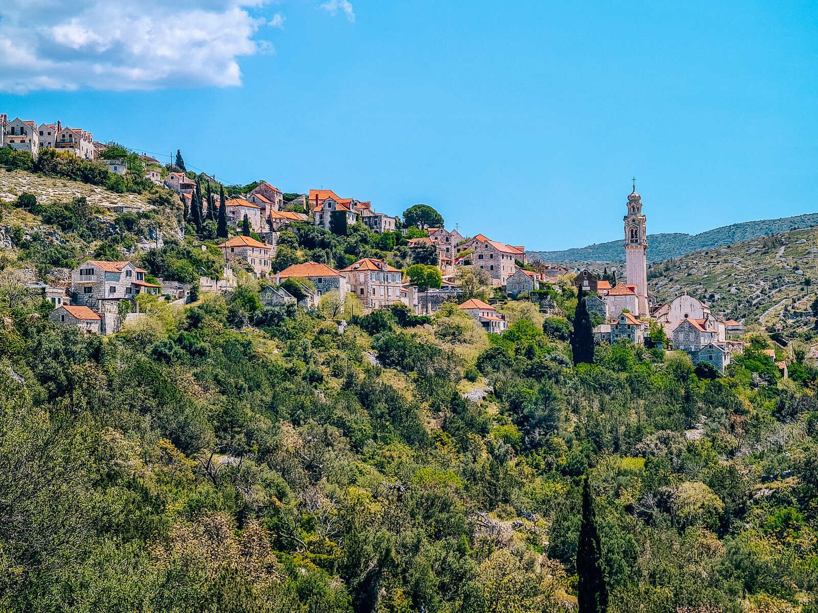 A small village on a hillside, surrounded by lush green trees, the tops of buildings with orange rooftops can be seen an a church tower protruding above