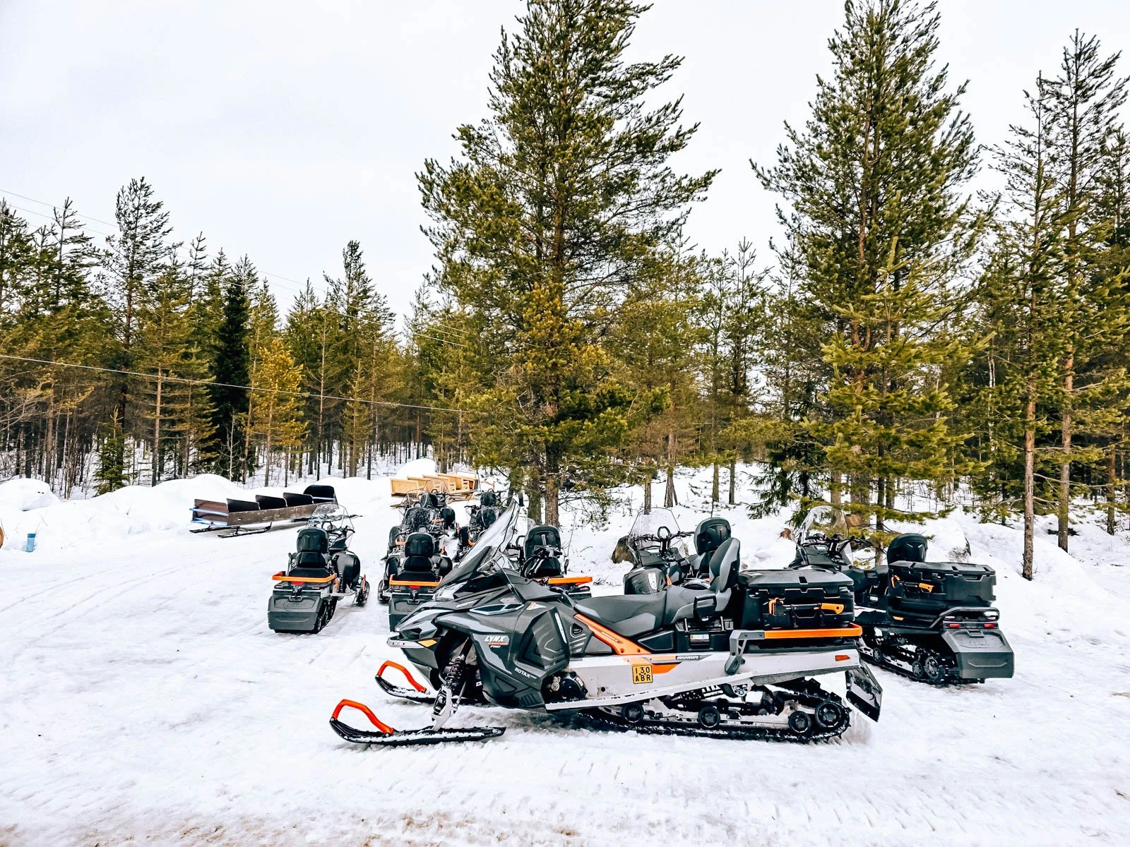 Many black snowmobiles in the snow  with many green trees behind them