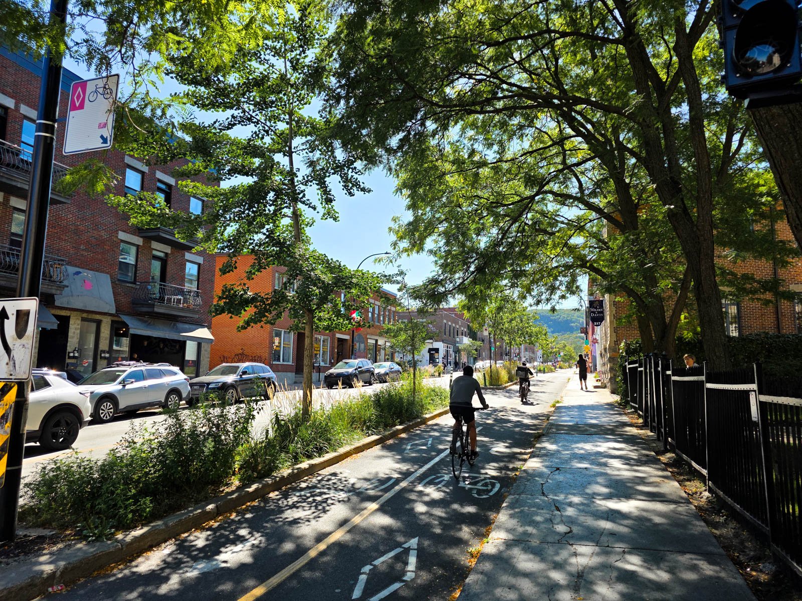 A cycle path alongside a street with cars on it, two people re cycling away from the camera under the shadow of trees on a sunny day