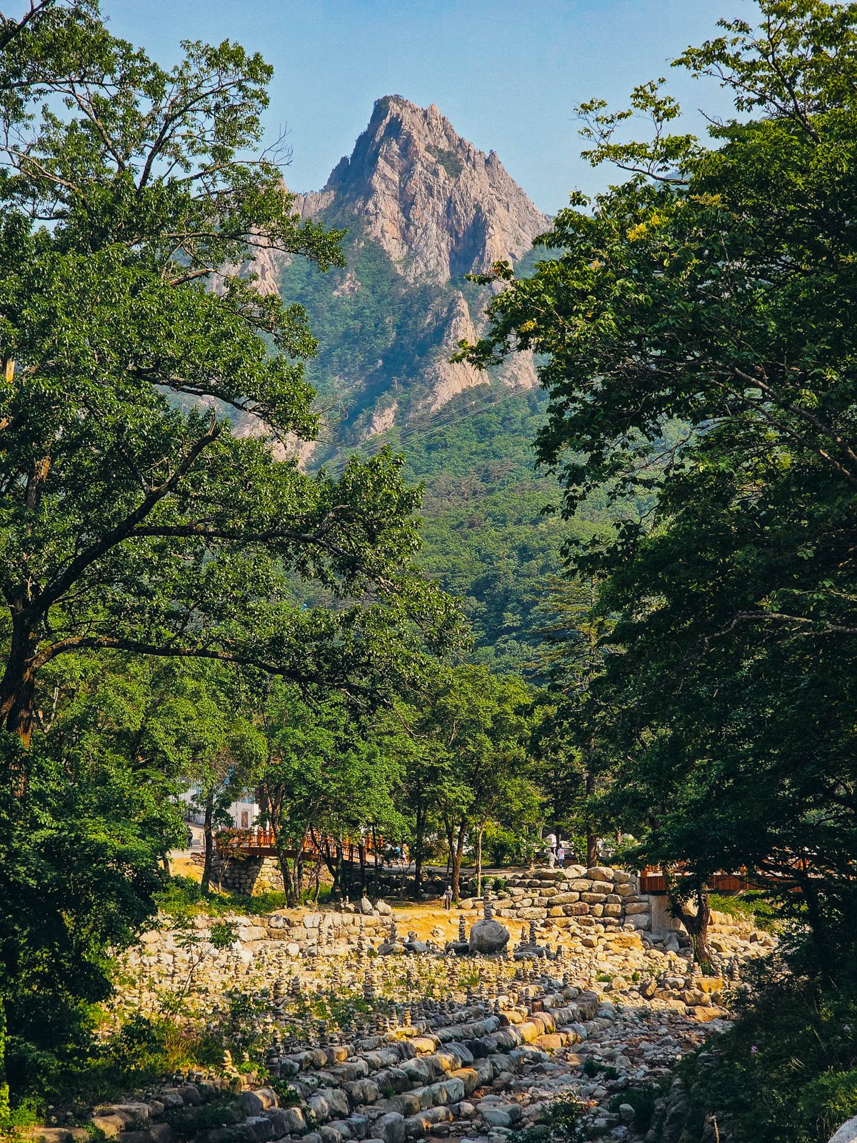 A view looking between two leafy green trees where the ground is rocky and ahead is a towering rocky mountain