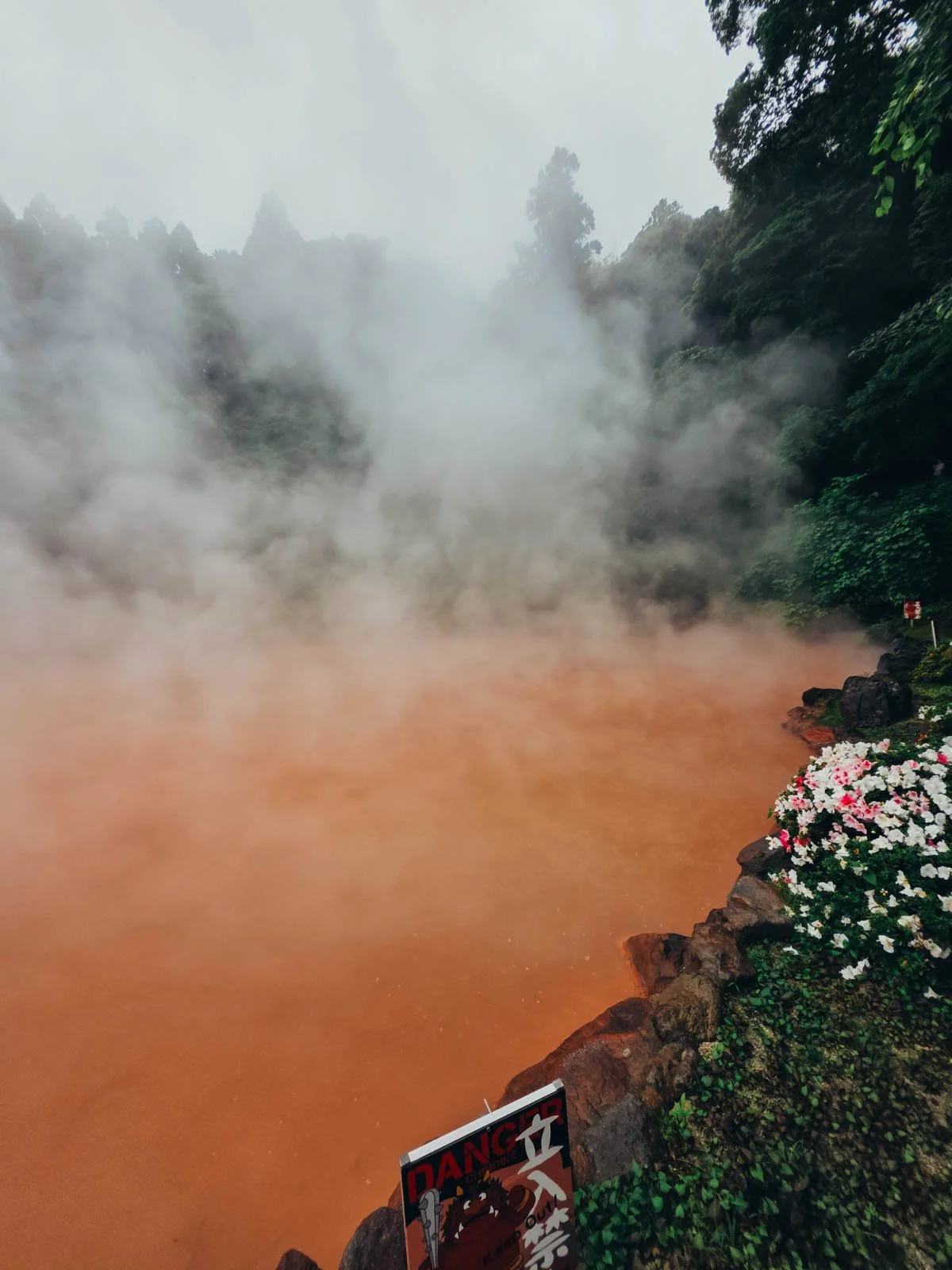 A red pool of steaming water surrounded by lush green trees