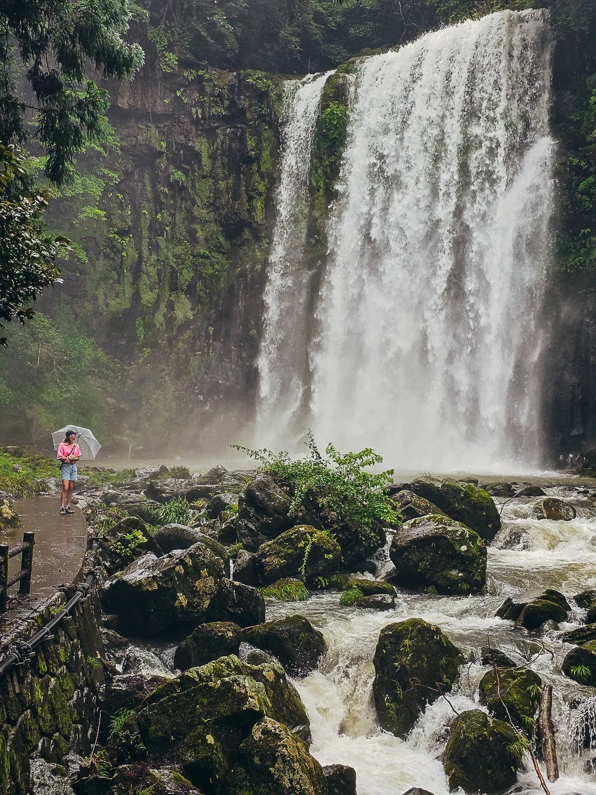 Helena holding an umbrella on a path walking along a rushing stream with a massive waterfall in the background