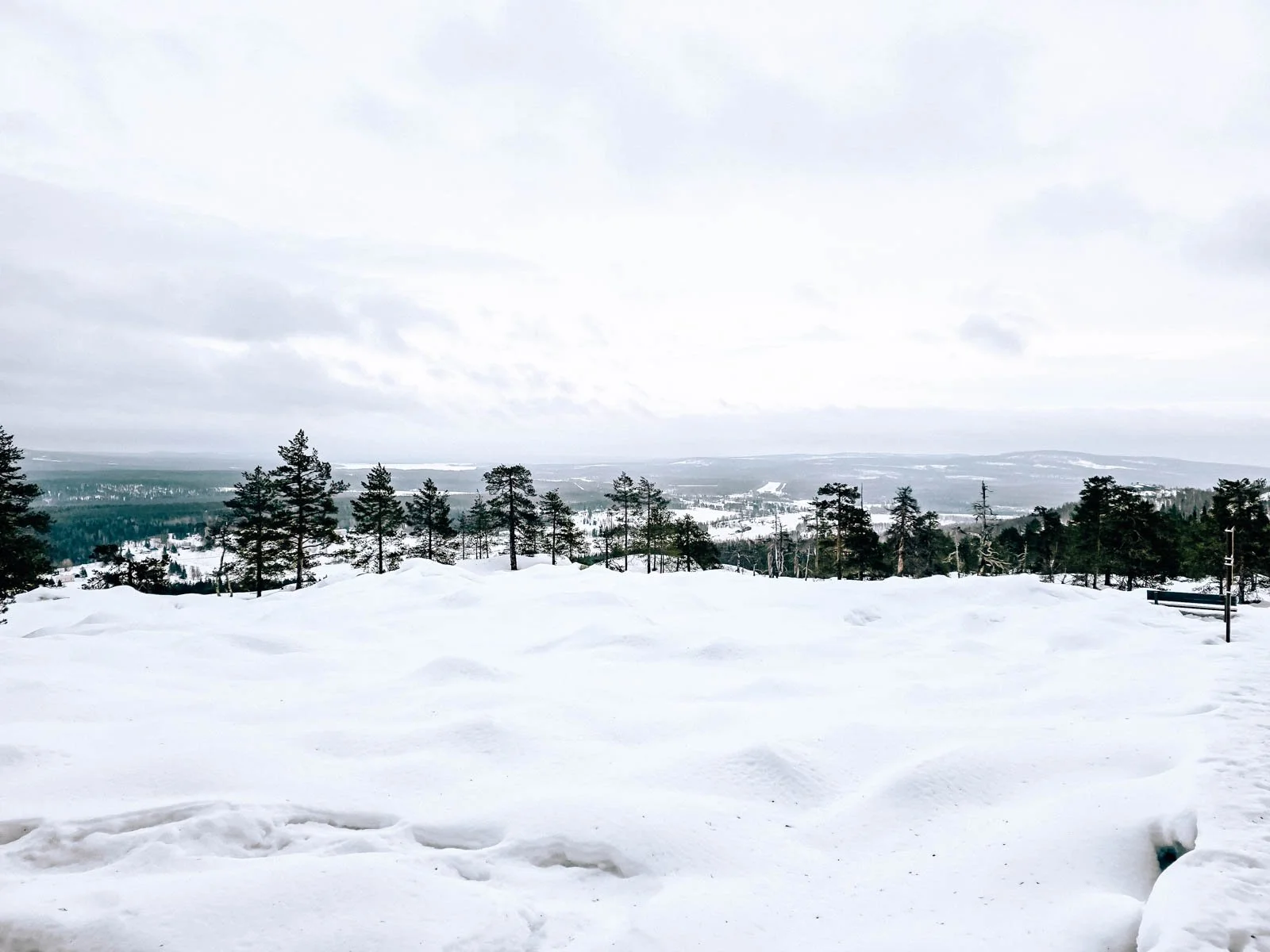 A hilltop view of a deep snowy landscape with pine trees and rolling hills in the distance