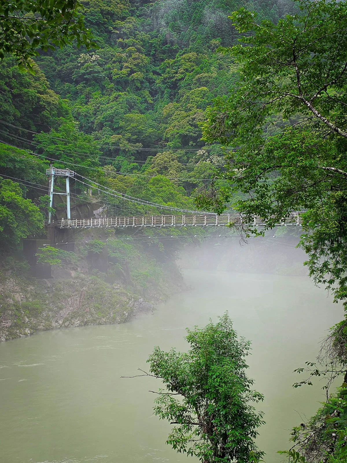 Looking across a murky river with low misty hanging over it and trees on all sides, a suspension bridge in the distance