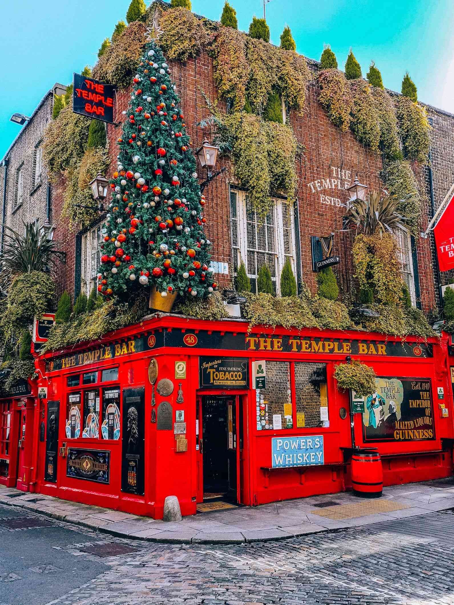 colourful red bar covered in greenery in dublin