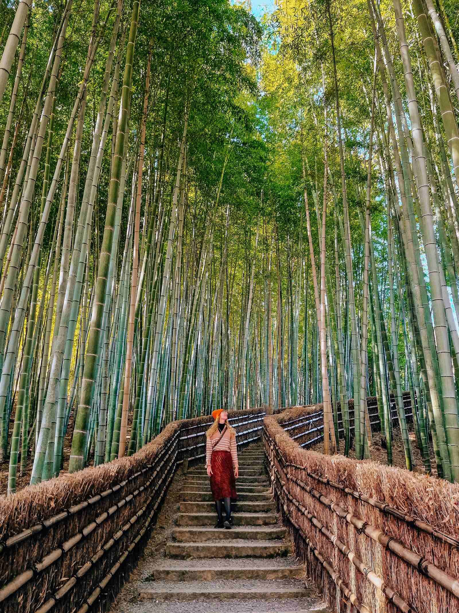 Helena standing on steps surrounded by tall, green bamboo