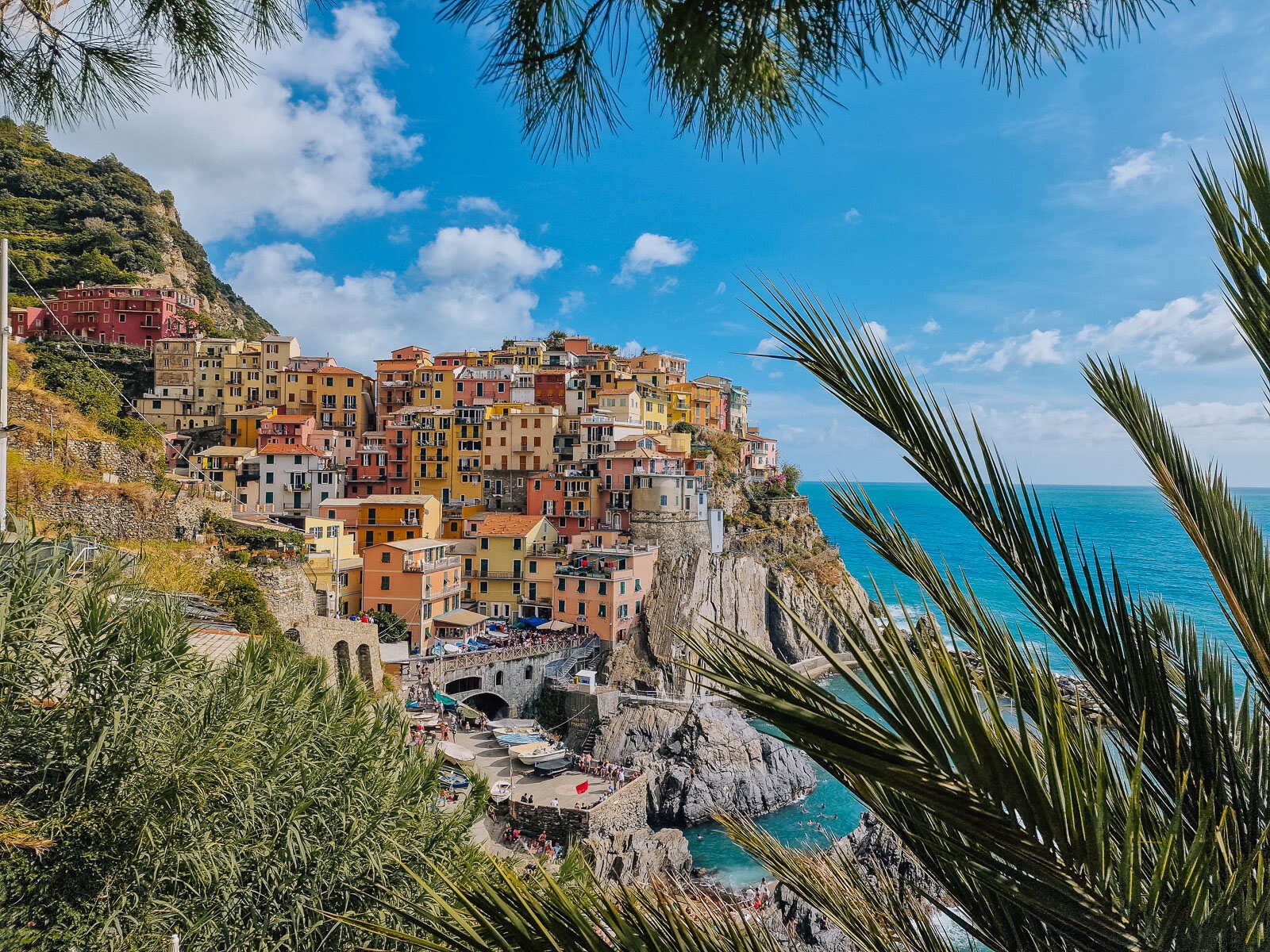 The colourful village of Manarola, Cinque Terre on the sea cliffs with turquoise blue water in the harbour below and framed by trees hanging low over the photo