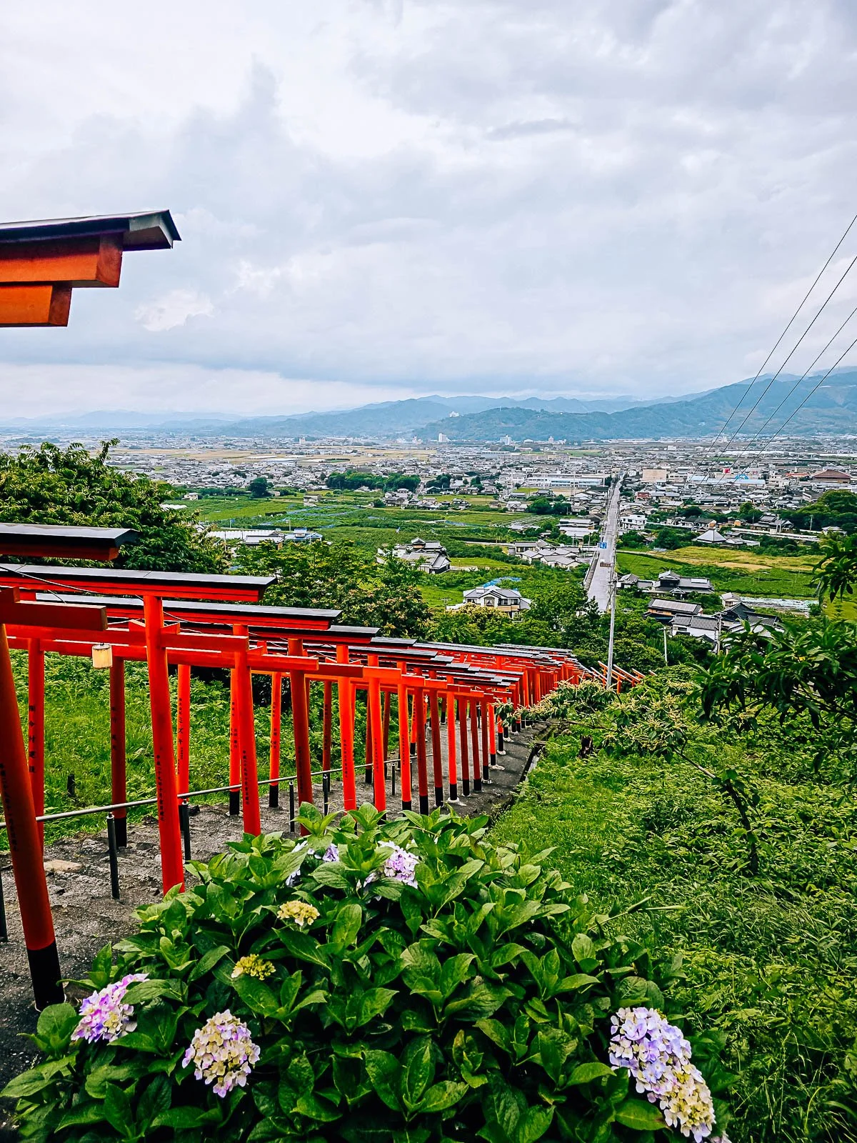 Looking down a lush green hill with a row of orange torii gates covering a set of steps down the hill with a city and mountains in the distance