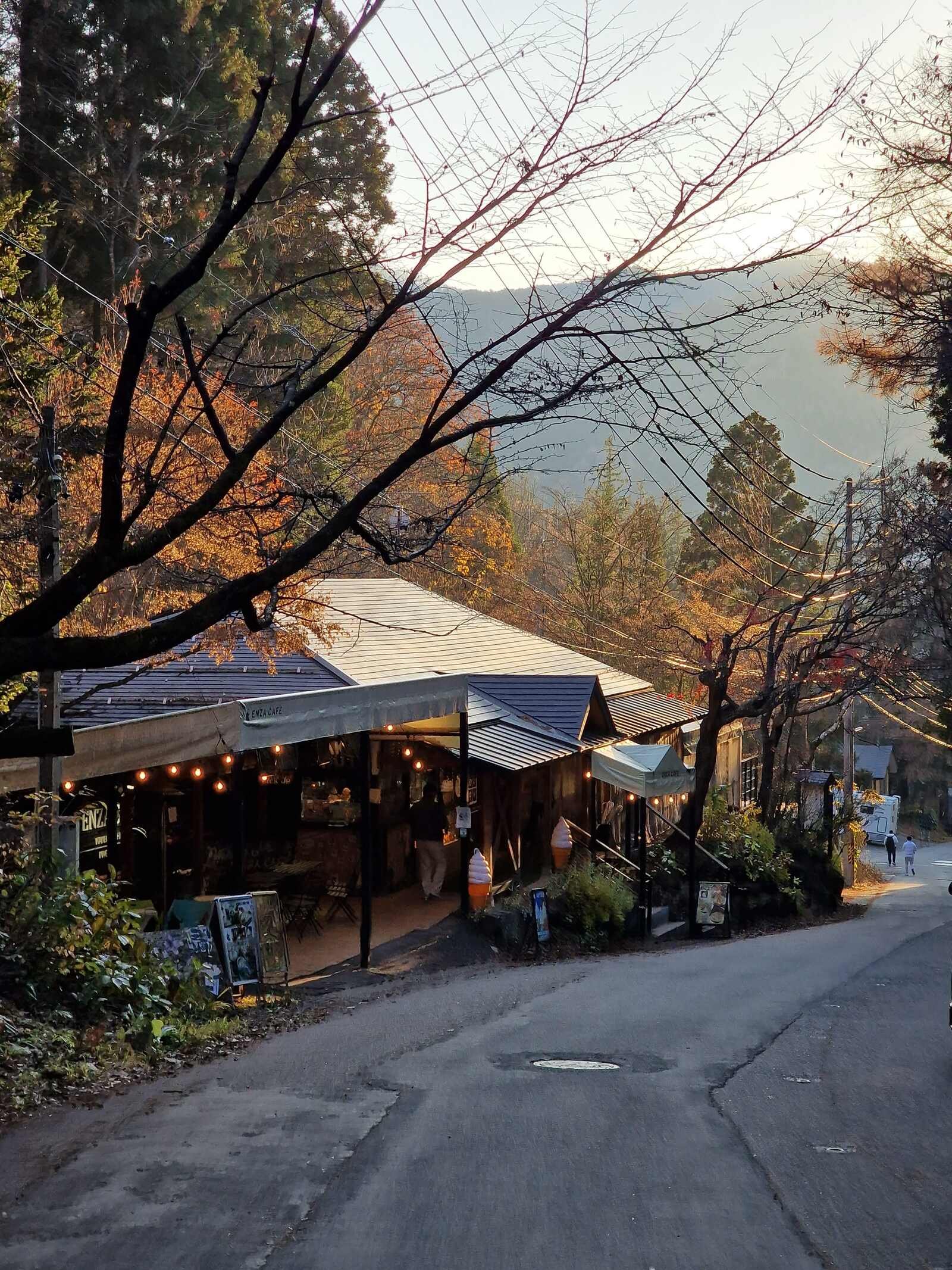 a quiet road lined with autumn trees and a restaurant