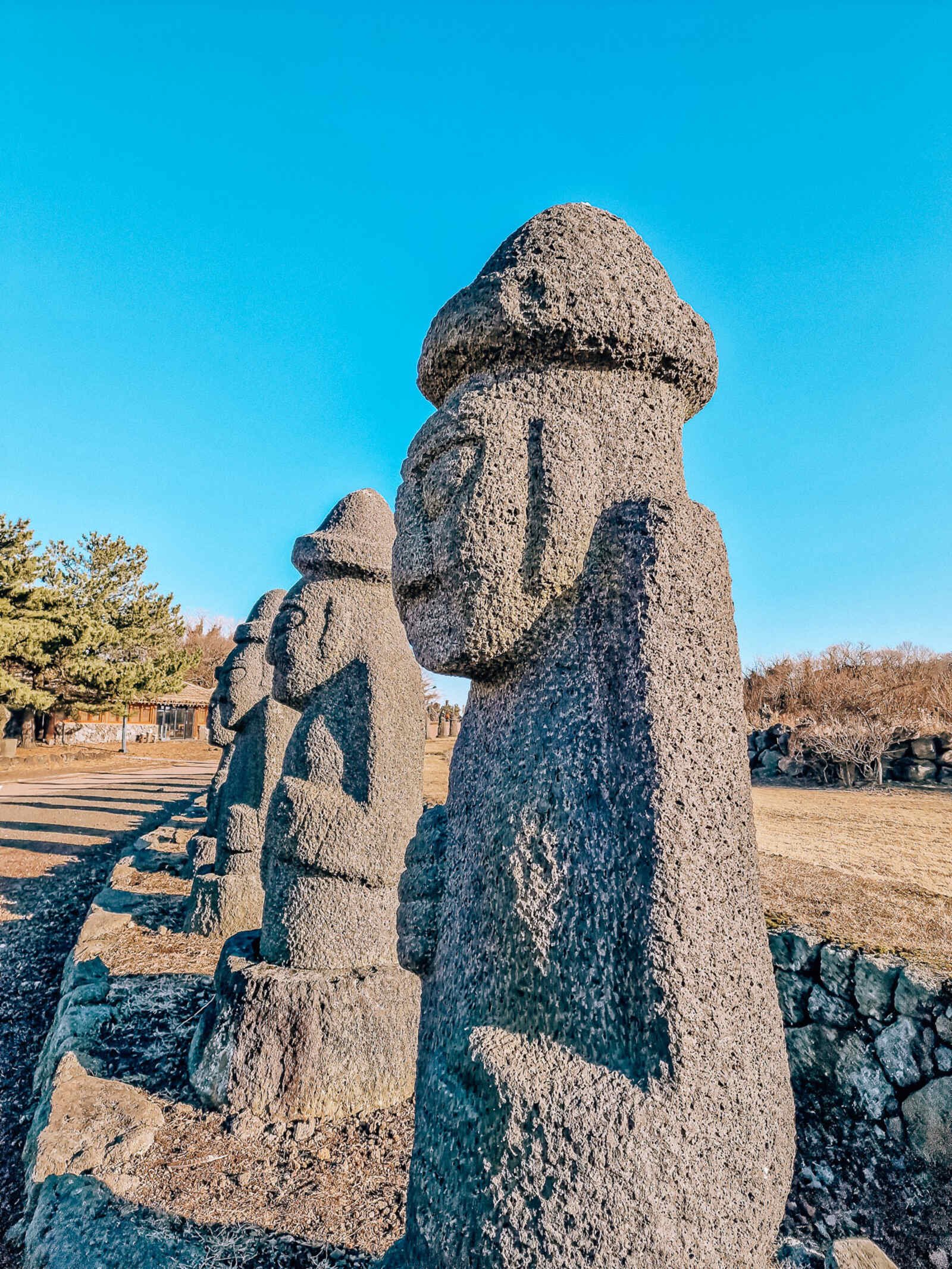 a line of 4 stone statues with faces - the Dol Hareubang of Jeju Island