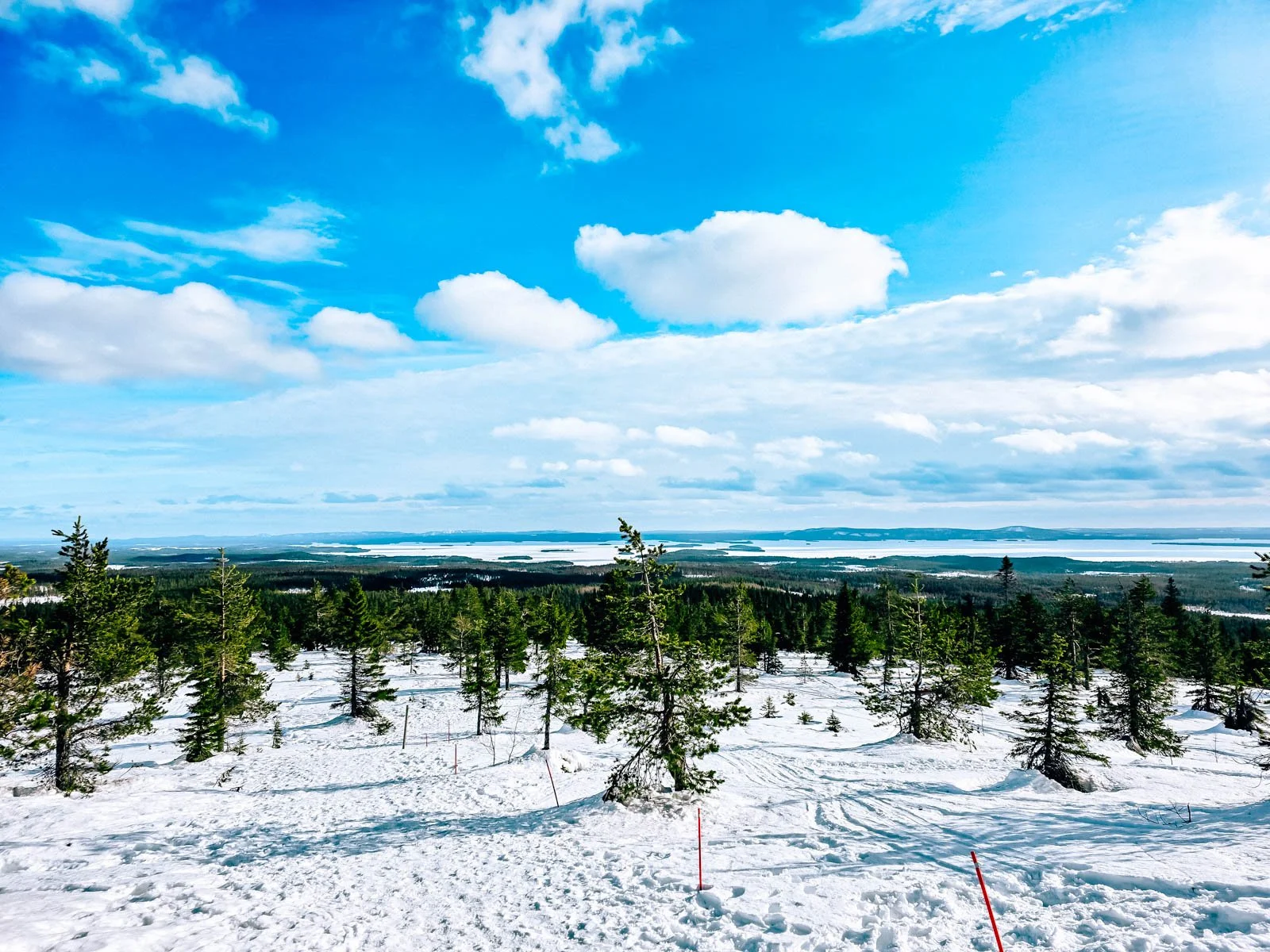 The hilltop view of a snow and tree coved landscape which stretches out into the far distance in Riisitunturi National Park with blue sky and lakes in the distance