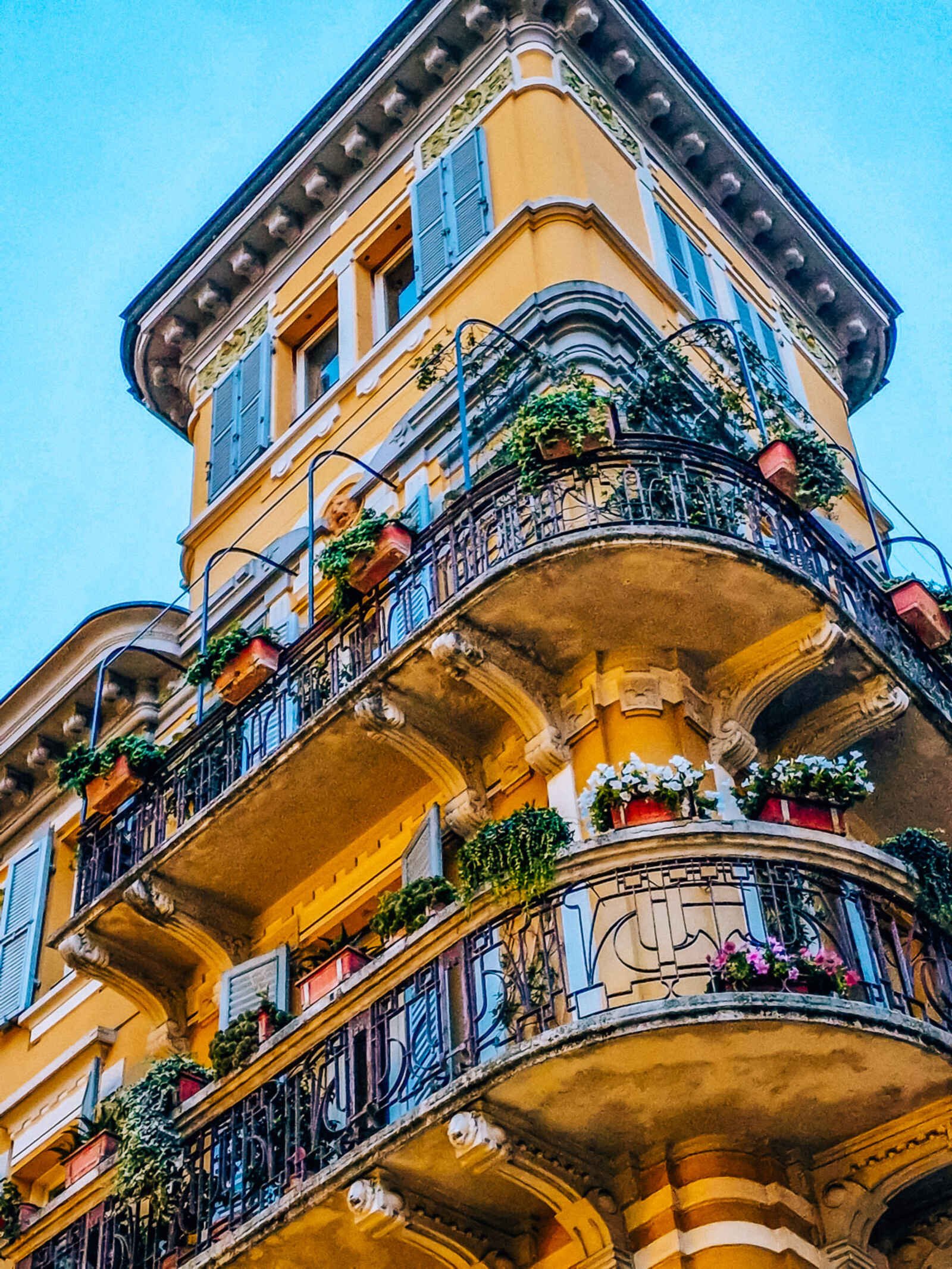 An ornate old yellow building with black railed balcony's covered in plants