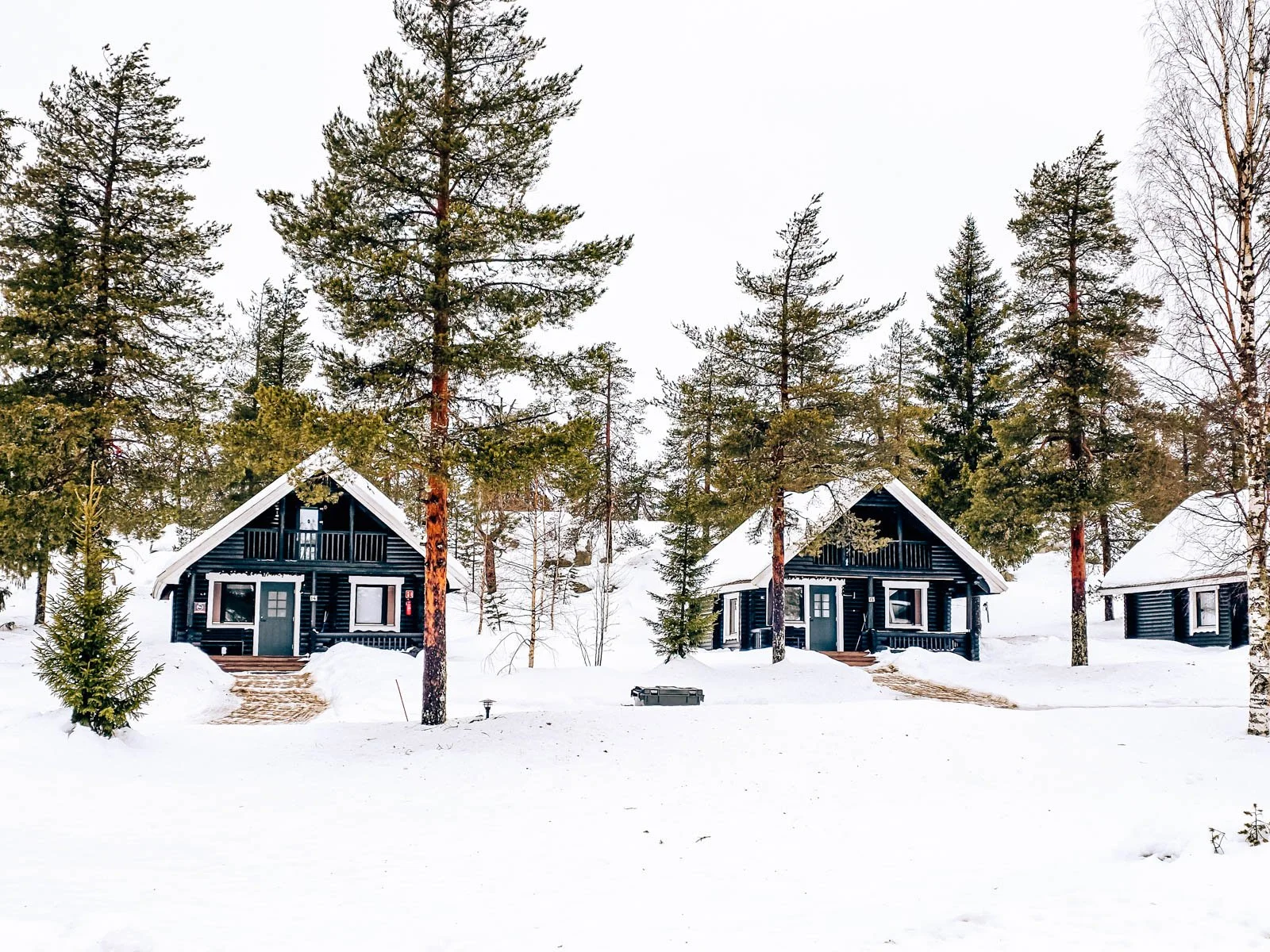 Three dark coloured log cabins line up next to each other surrounded by snow and pine trees