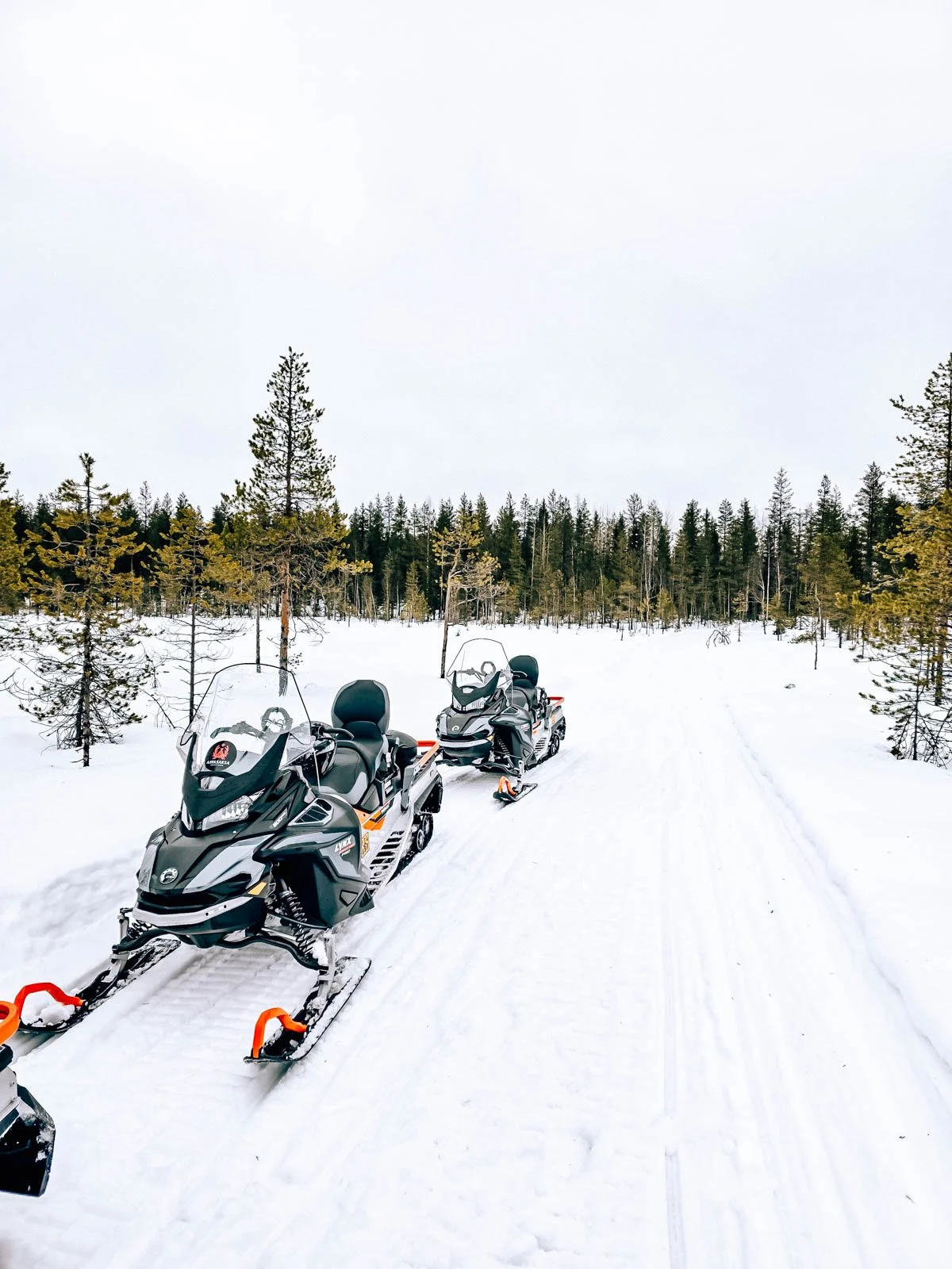 Two snowmobiles parked along a snowy trail with green pine trees in the distance