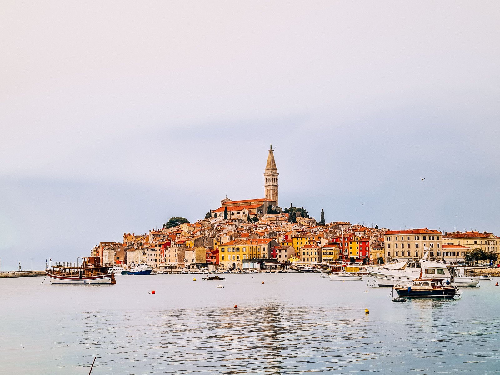 Looking across water at a Rovinj town with colourful buildings clustered around a bell tower at the top of the hill