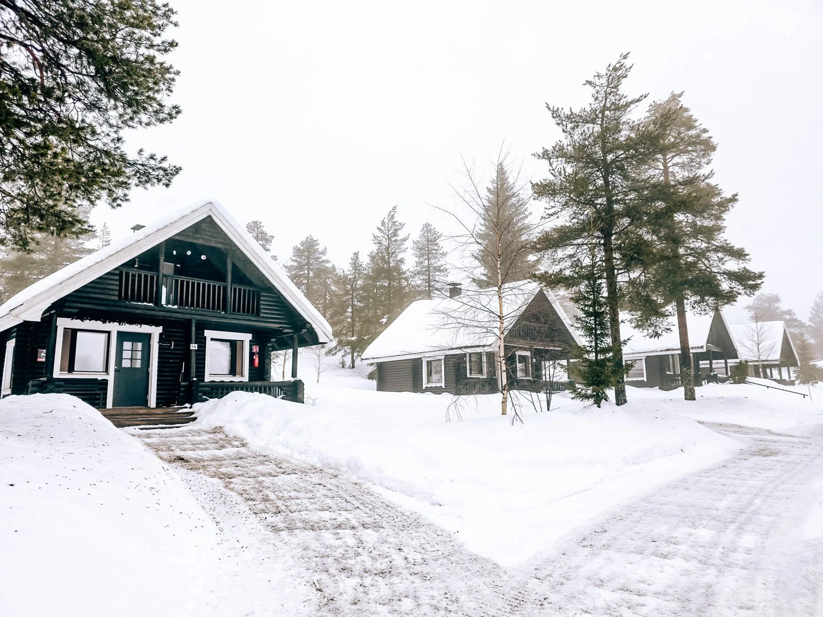 Four dark coloured cabins in a row surrounded by snow and large trees in the background