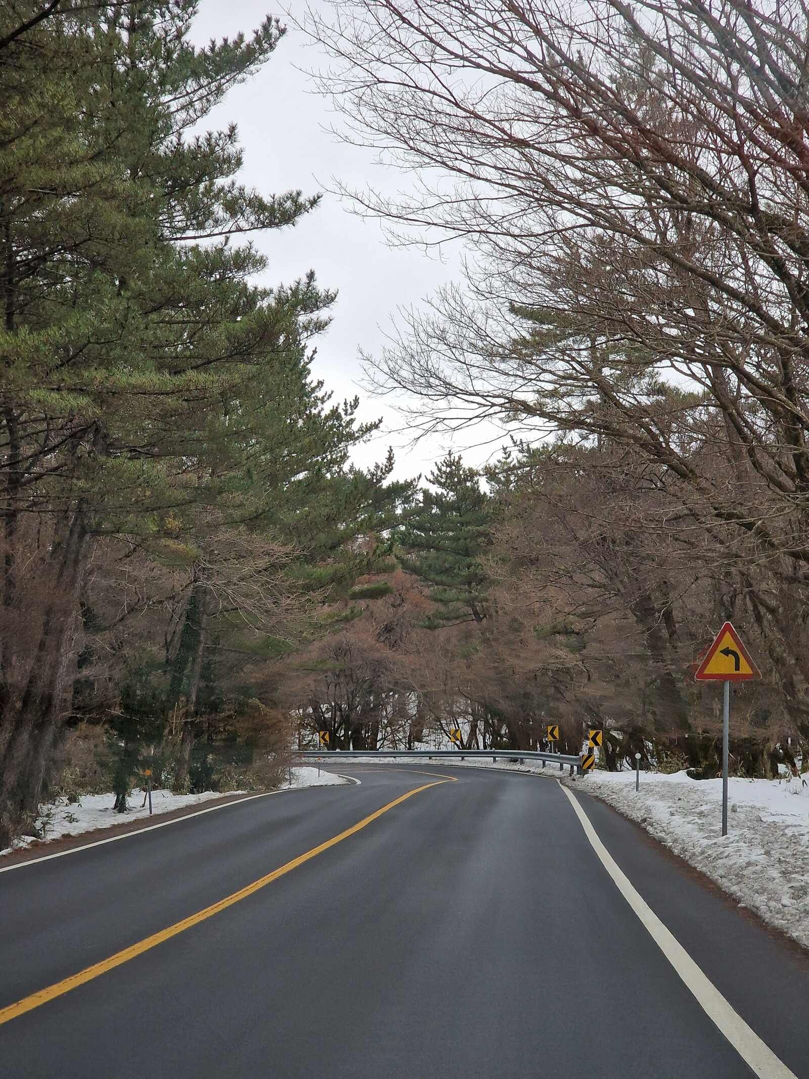 a smooth tarmac road lined with tall green trees, remnants of snow on the verges