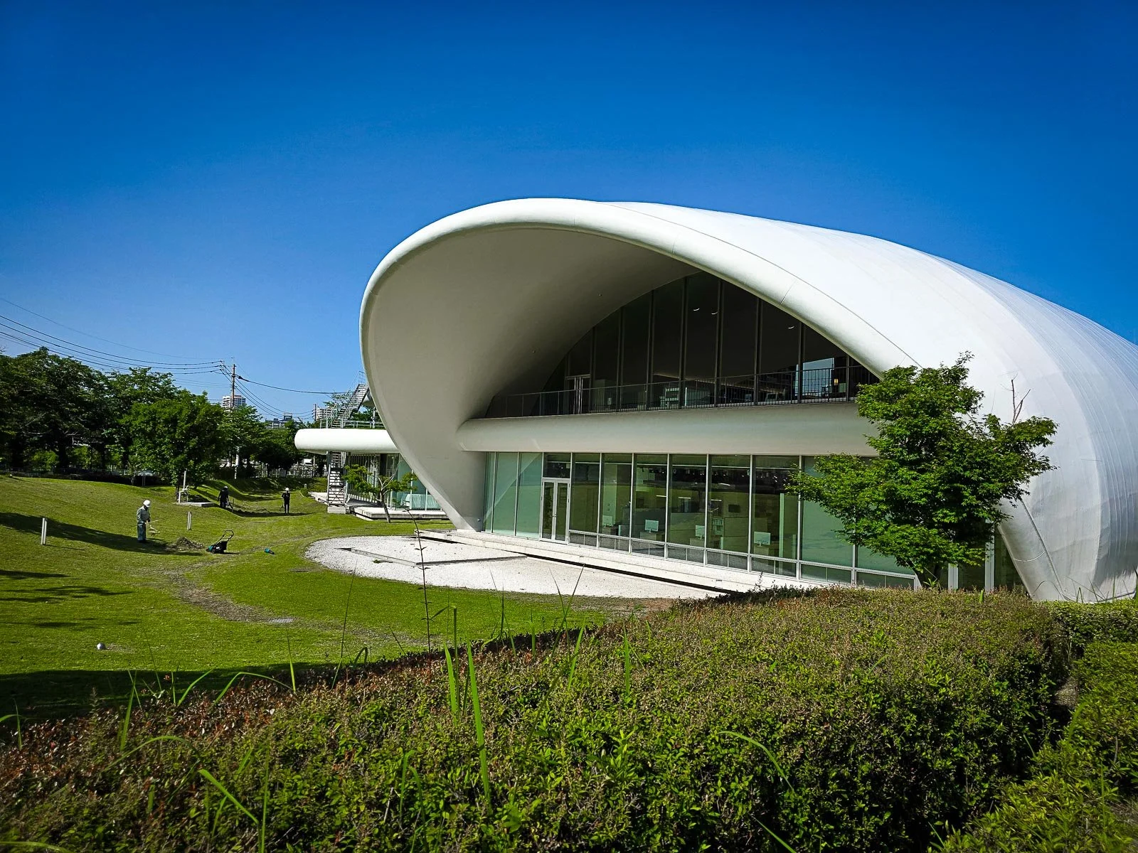 A modern looking white building with a glass front looking out across a garden