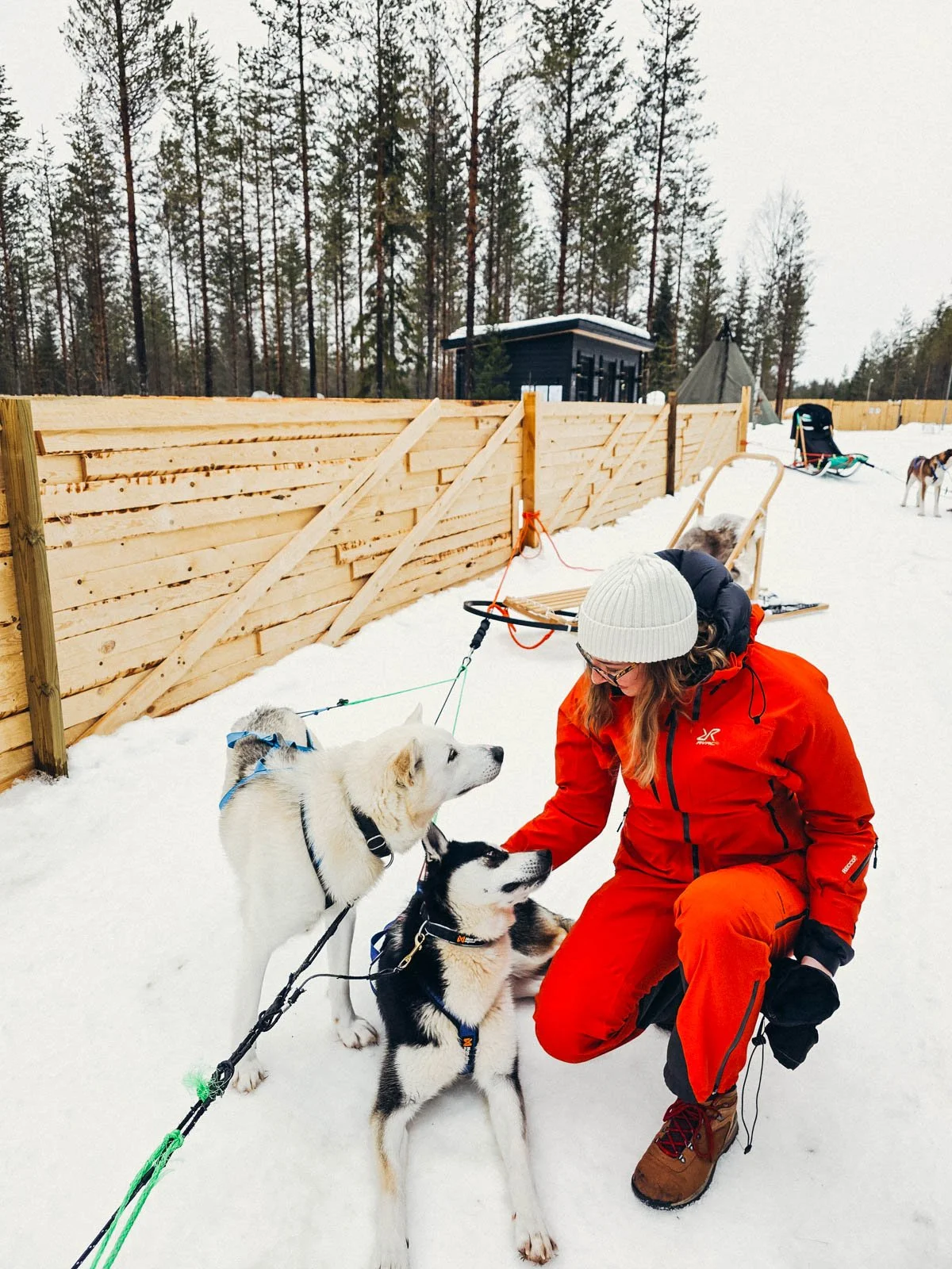 Helena kneeling in the snow, wearing red petting two huskies after going on a husky sled ride in the snow