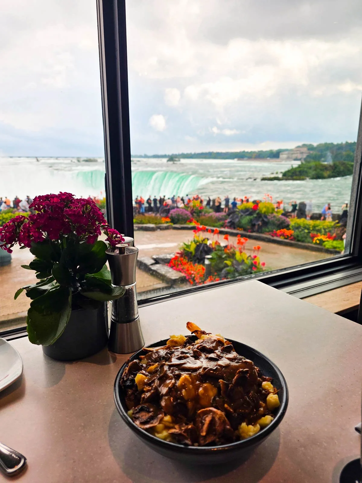A plate of poutine on the table of a restaurant next to a window with a view of Niagara Falls