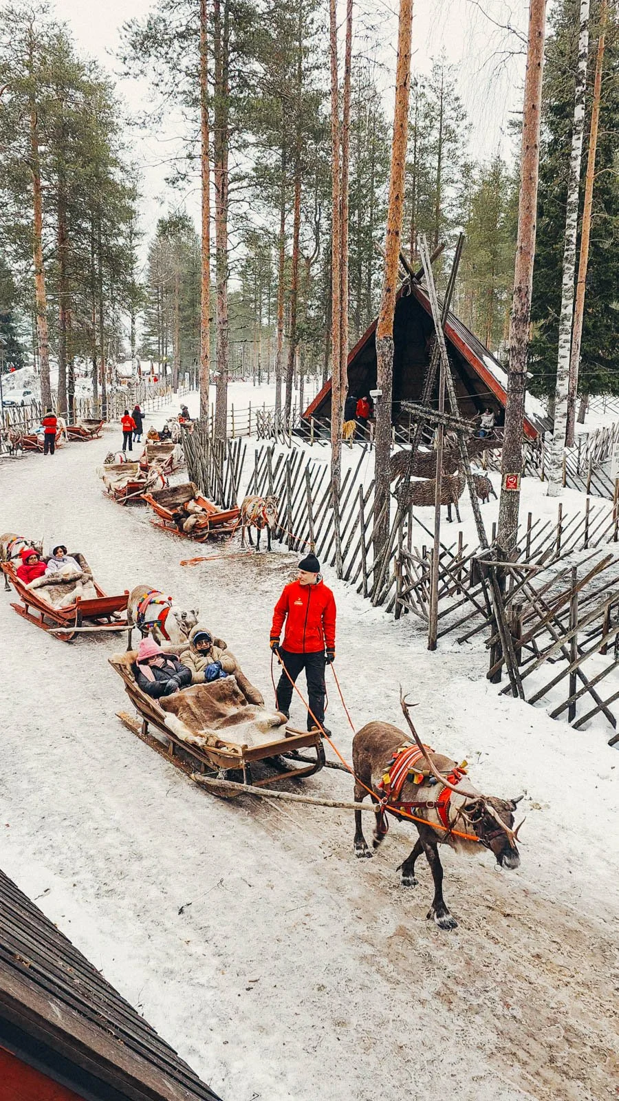 Many people sitting in sleighs getting pulled by reindeer down a snowy trail at Santa Claus Village in Finland Lapland