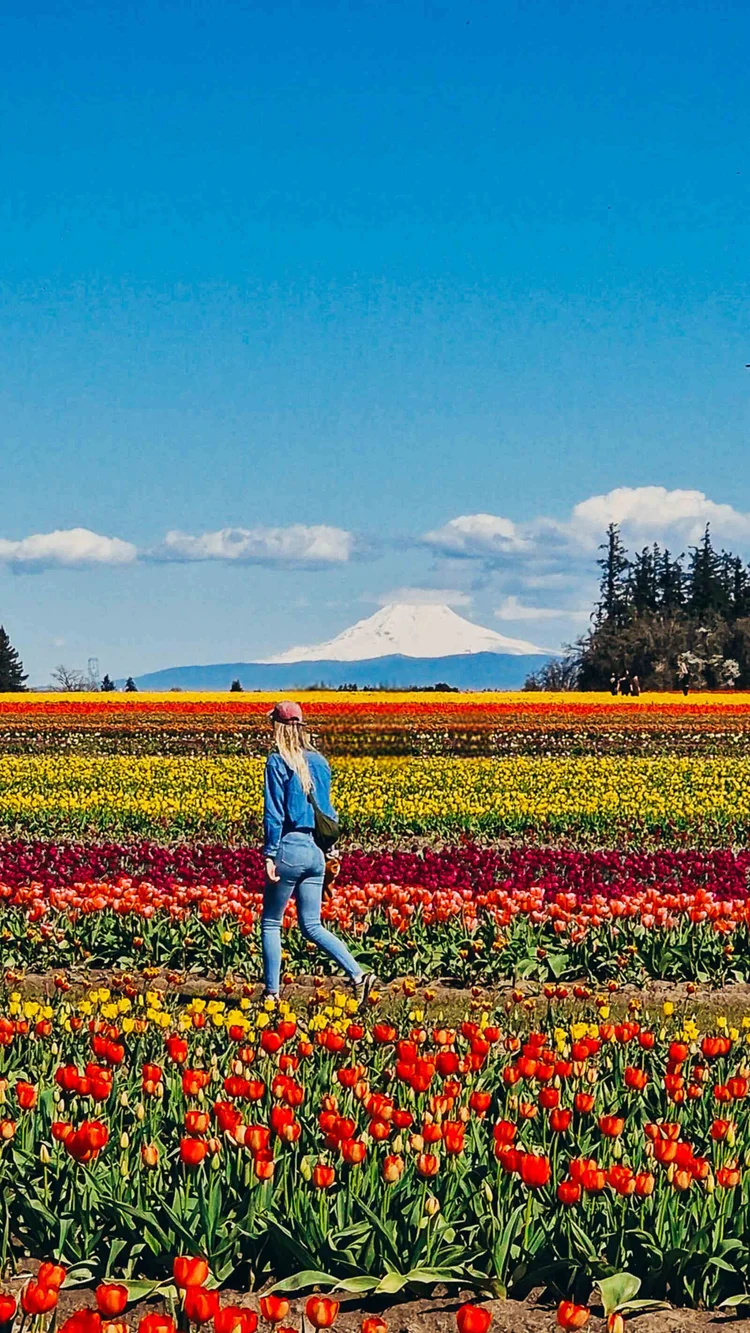 The Portland bucket list: 40 unique things to do in Portland Oregon (by ...