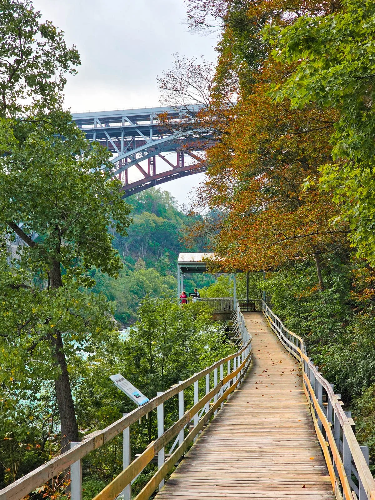 a wooden walkway along a tree lined river with an iron bridge over the canyon, just visible through the trees ahead