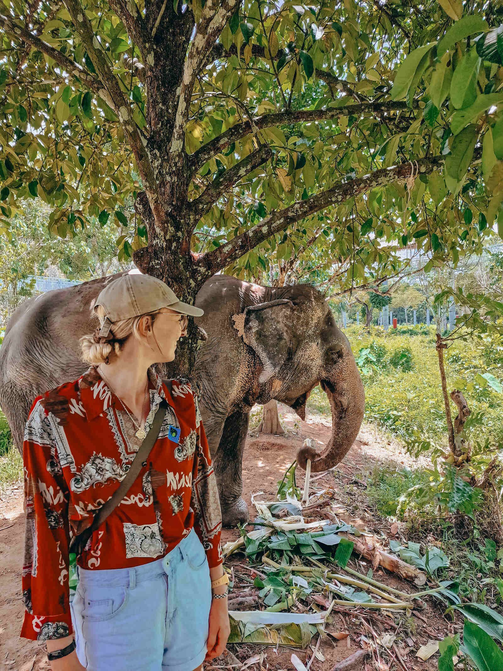 A girl standing with an Elephant in the background