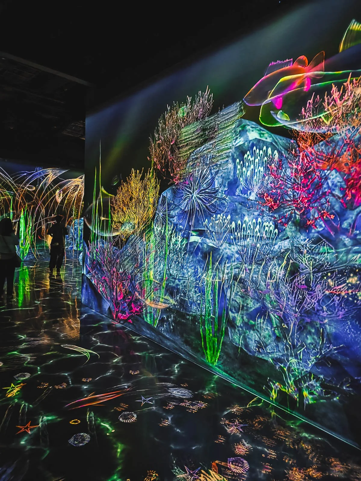 A dark room with bright fluorescent coloured walls displaying plants and animals