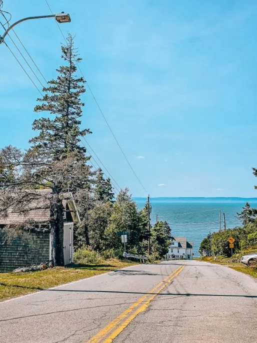 a view looking down a sloped road with a view of the sea at the end. The sky and sea are blue and trees, street lights and two houses are along the left side of the road