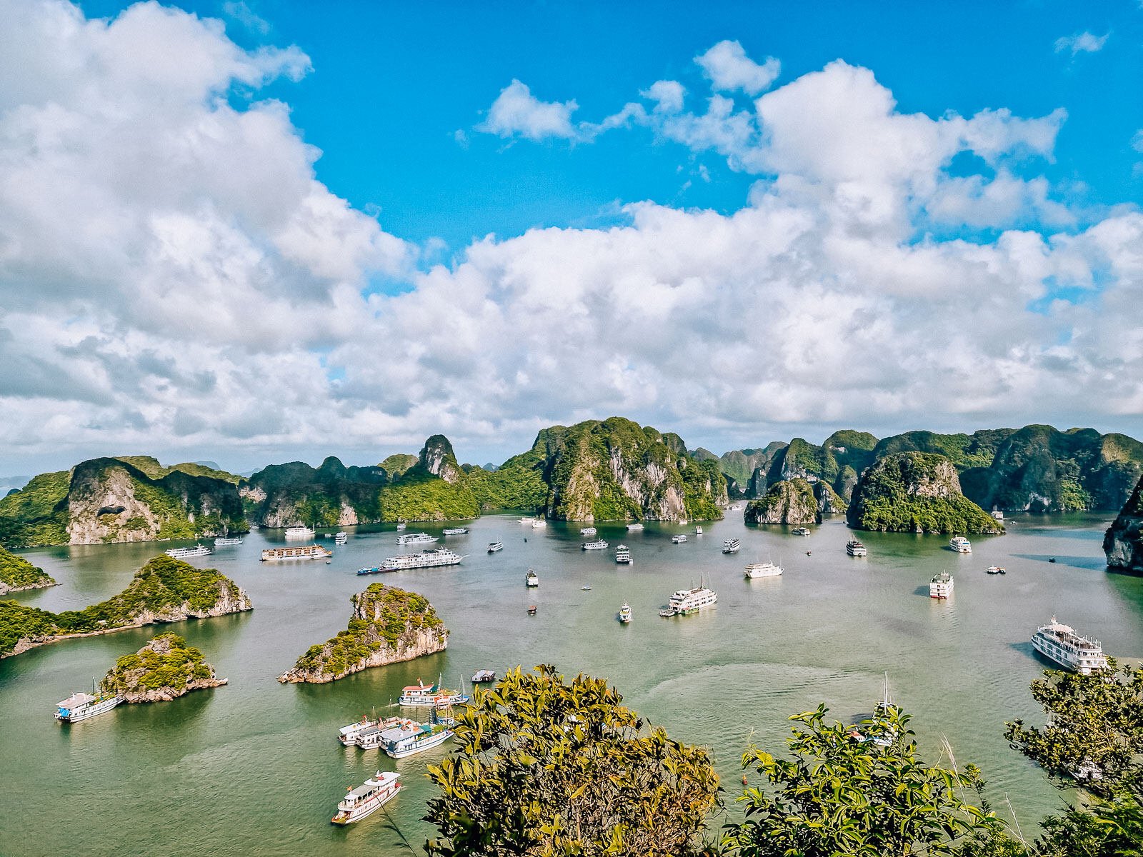boats in the water of Ha Long Bay