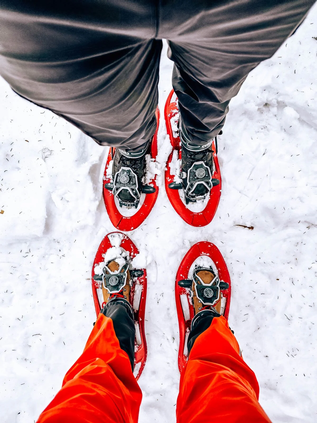 A view of two legs with bright red snowshoes on in the snow