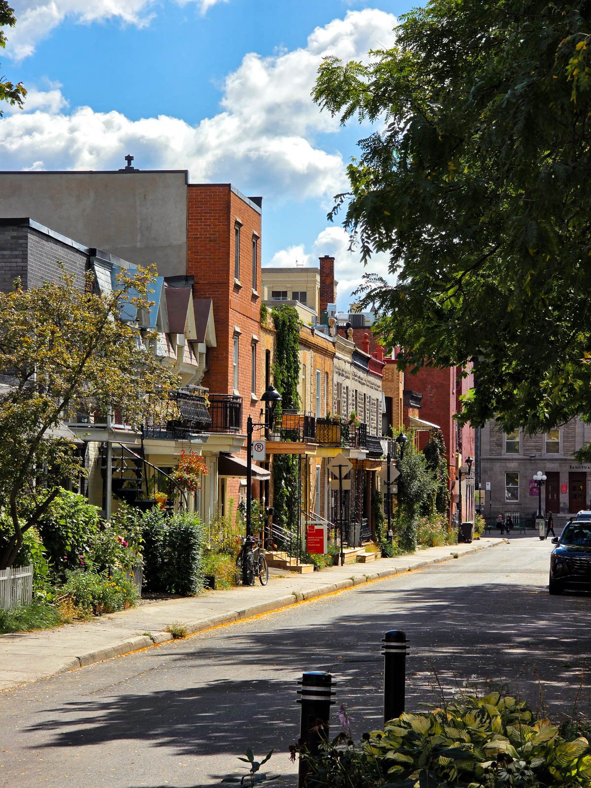 A pretty residential street with flat front houses some with balconies and losts of greenery out the front