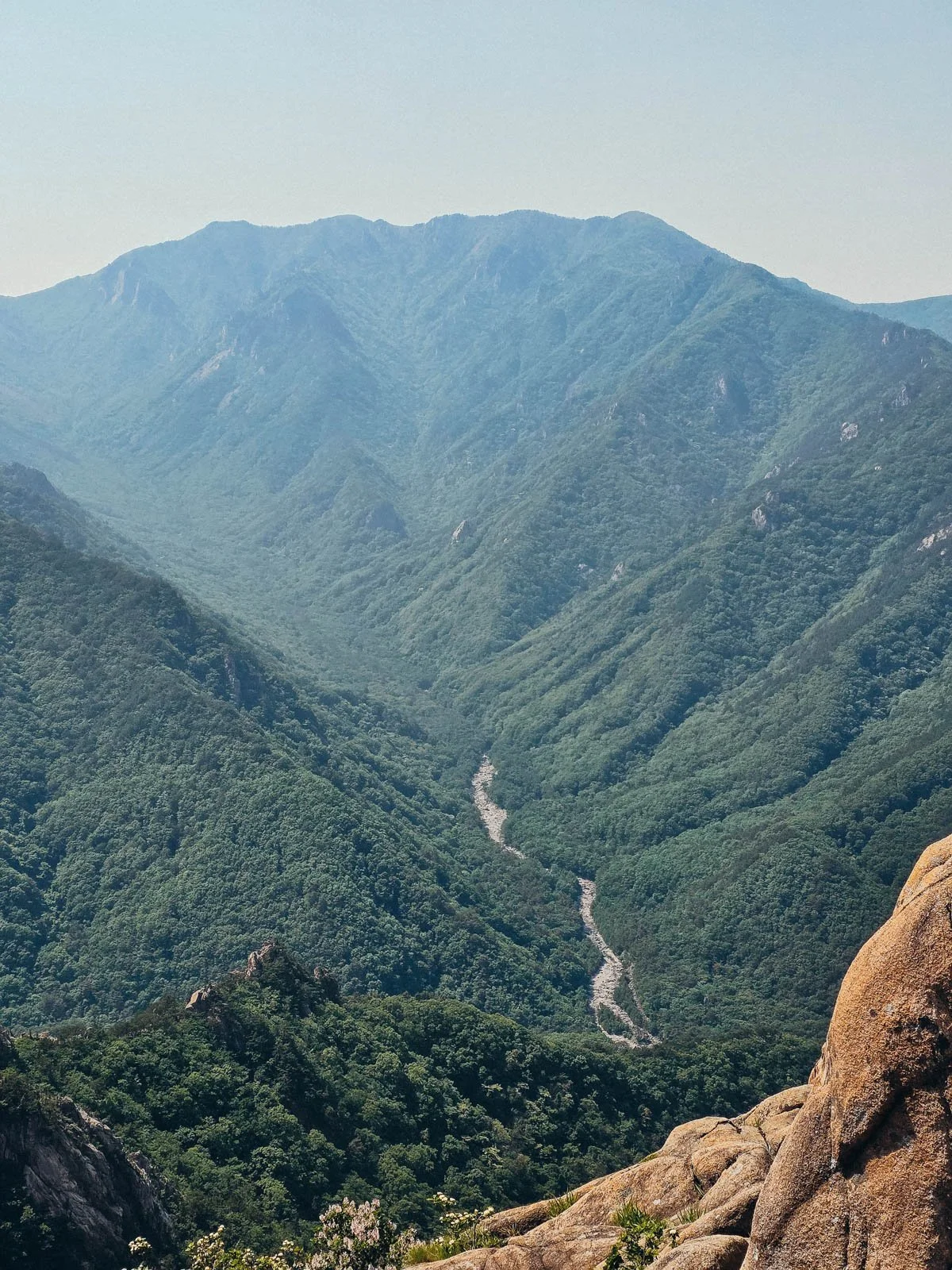 Looking down from a mountain onto a lush green valley  with a river winding through the centre