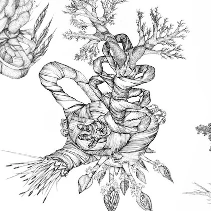 Review | Maggie Nowinski : Drawn wHole